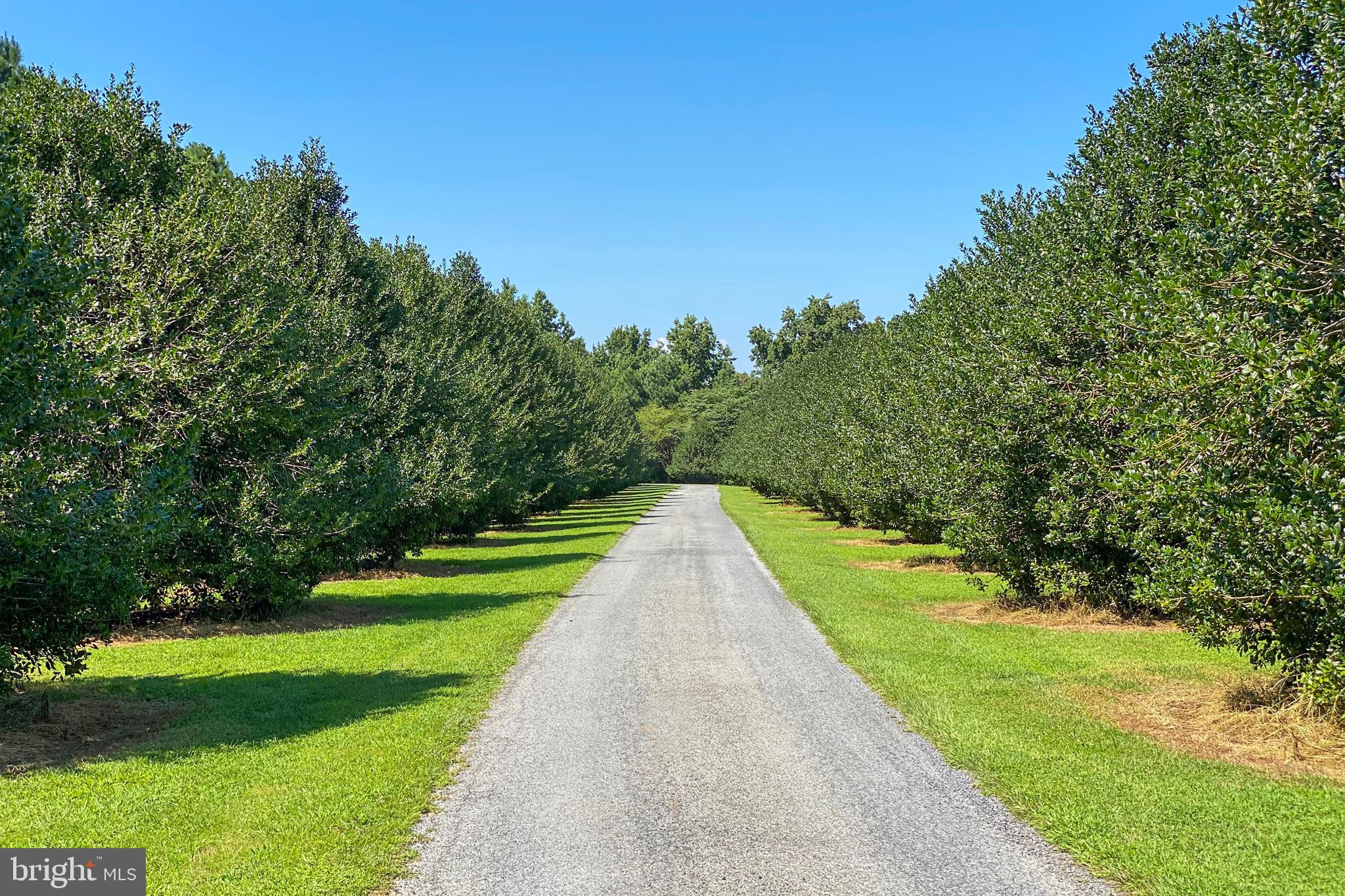 PATRICK'S PLAINS - Residential
