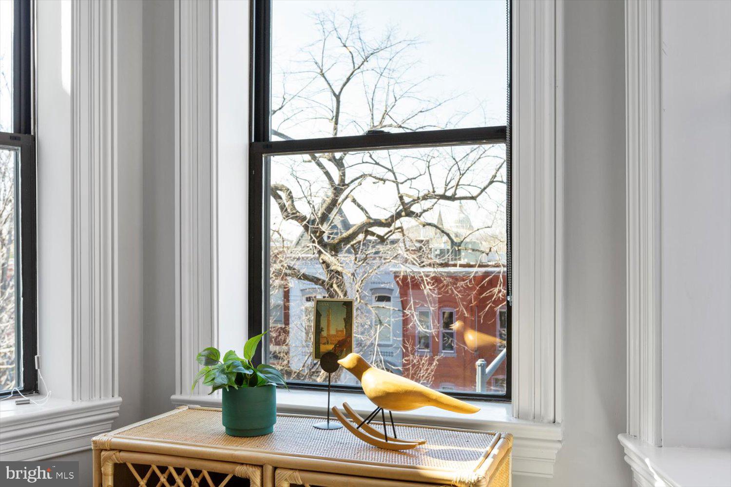 CAPITOL HILL - Residential