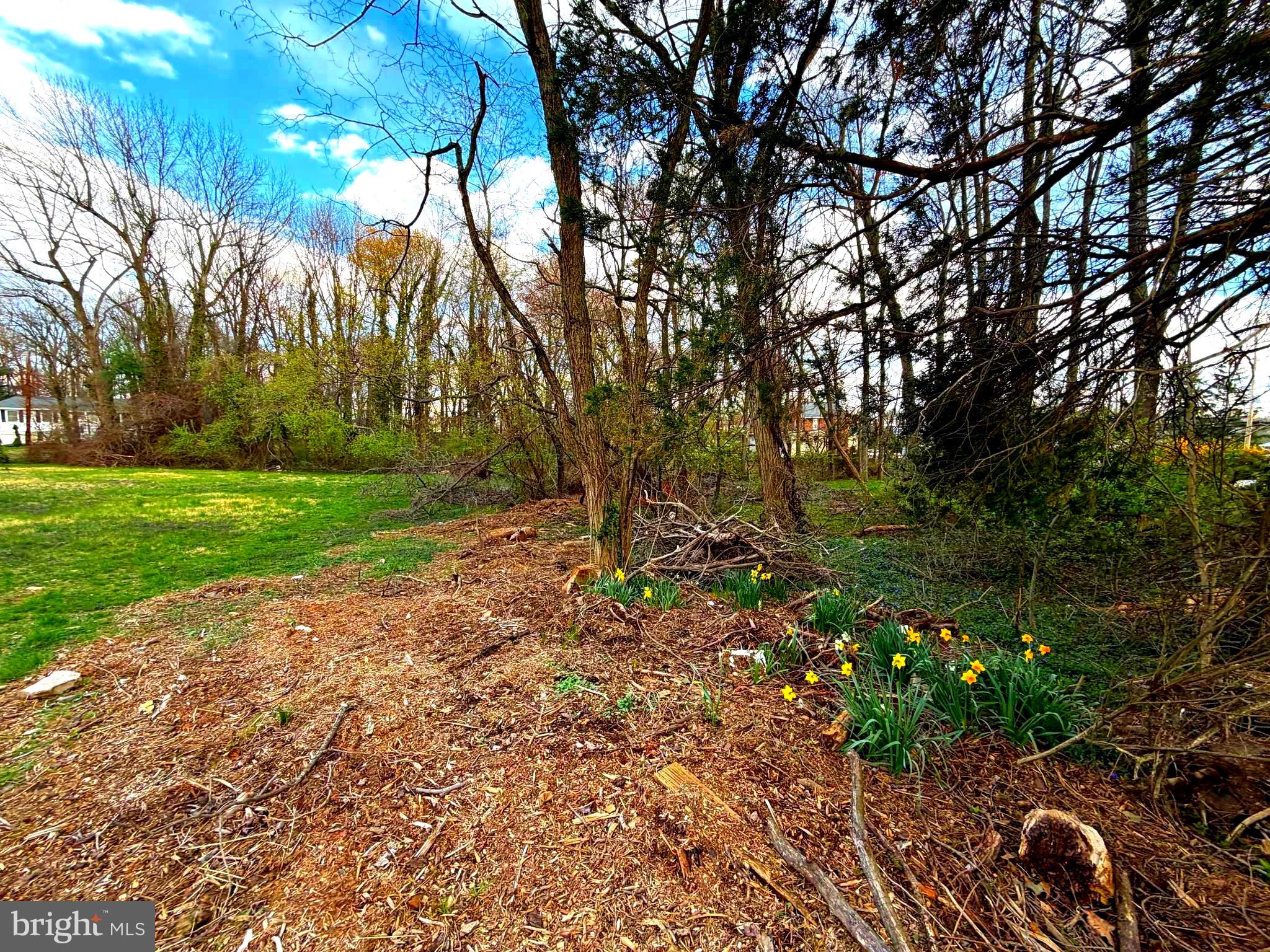 Photo 1 of 7 — Block 2008 - Lot 12.03 COOLIDGE AVENUE, LAWRENCE TOWNSHIP, NJ 08648