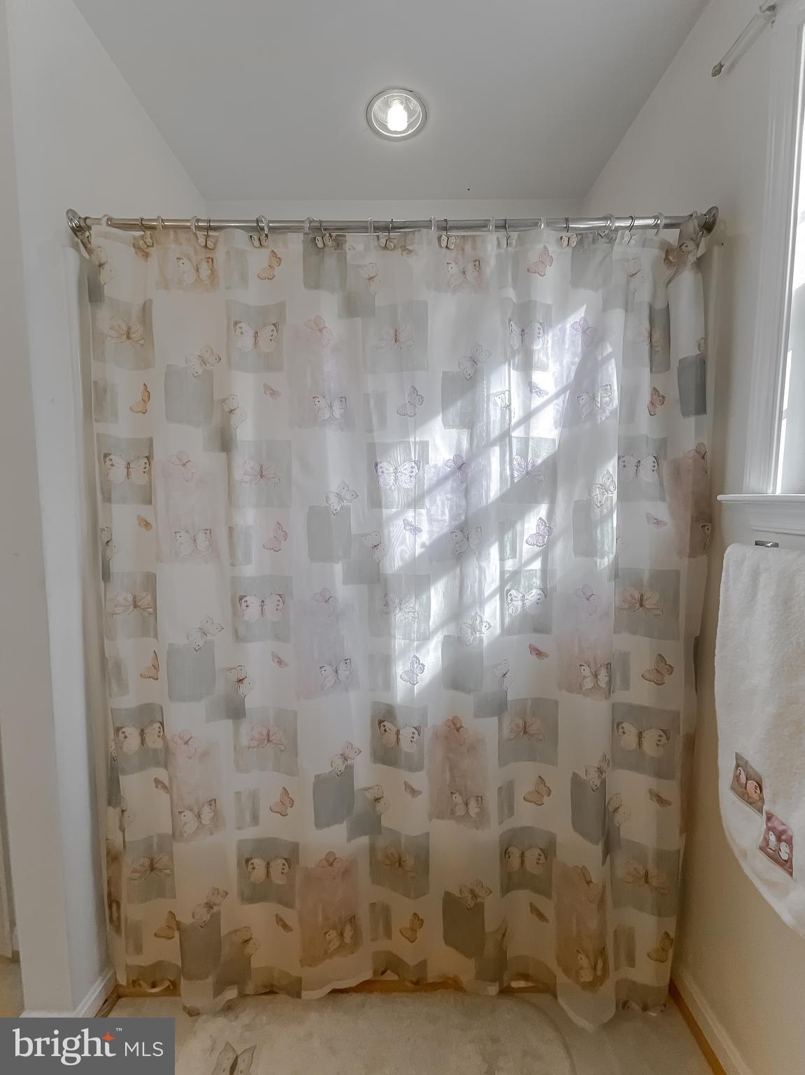 TEABERRY RIDGE - Residential