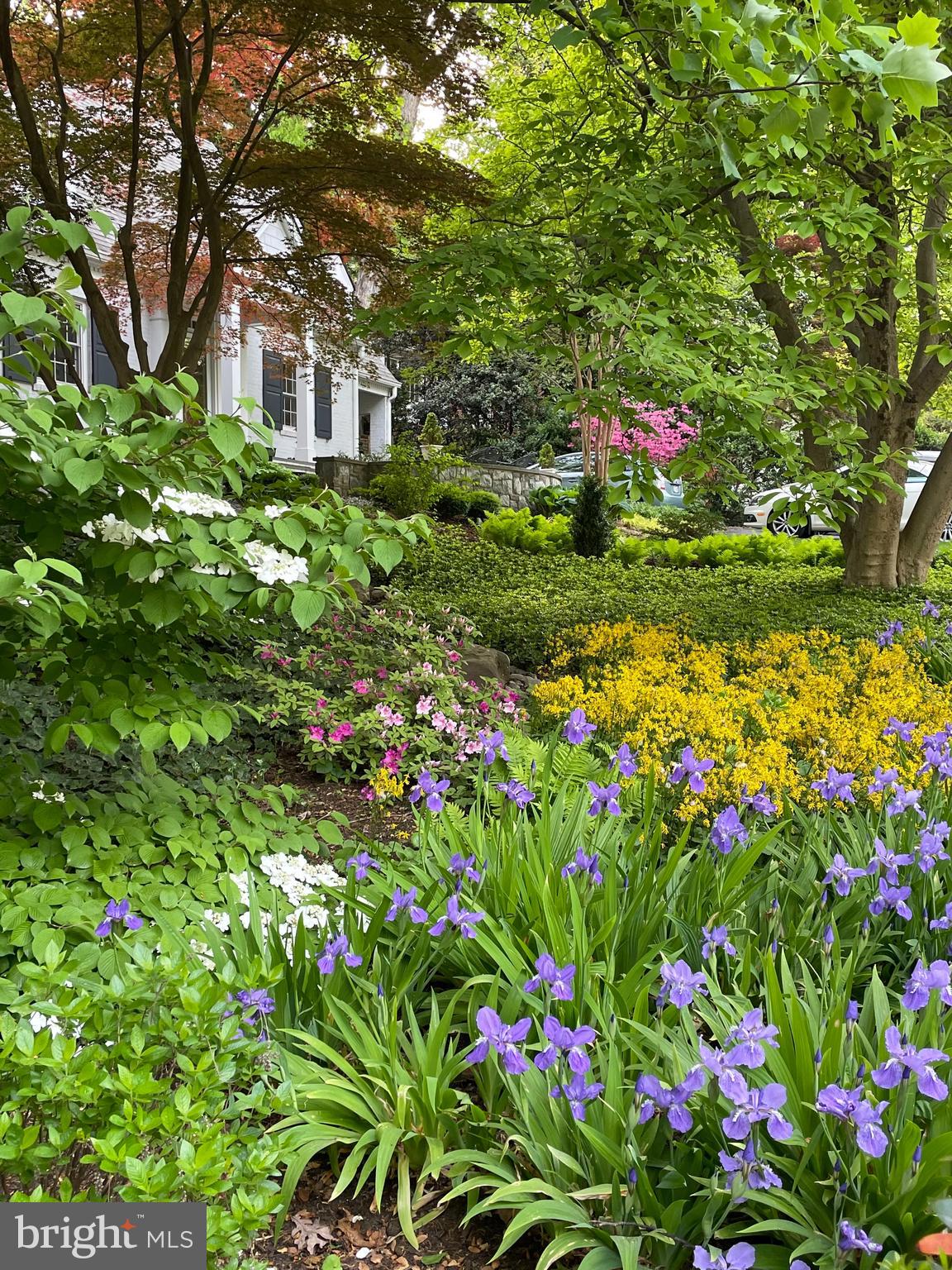 BROYHILL FOREST - Residential