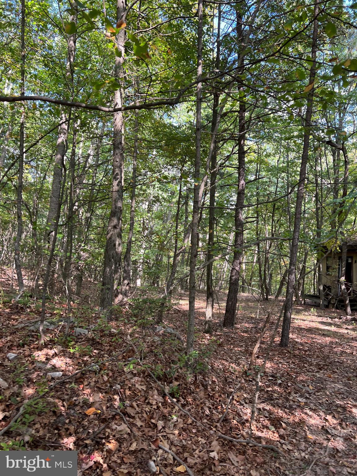 VALLEY HIGH TIMBER FARMS - Residential
