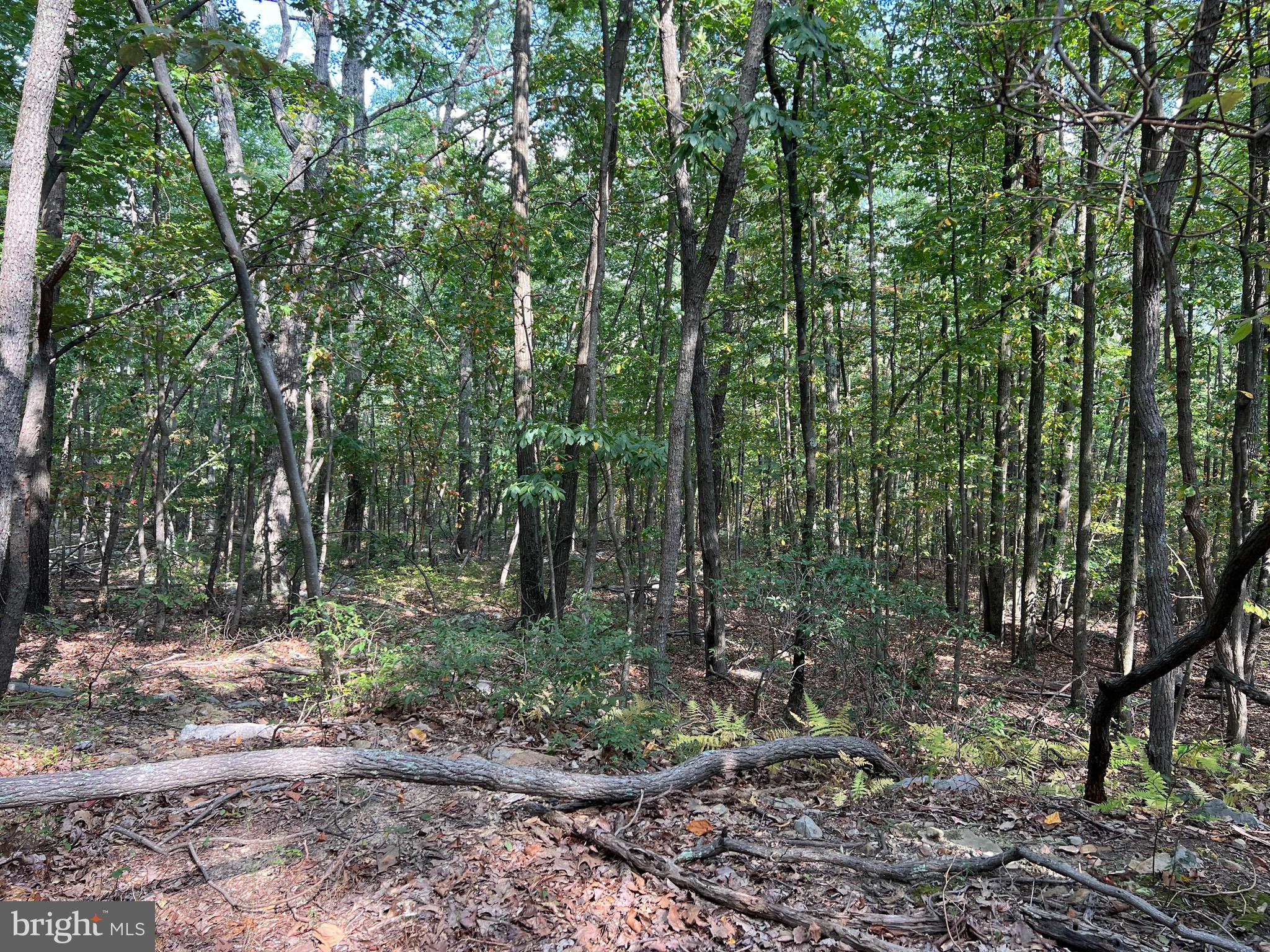 VALLEY HIGH TIMBER FARMS - Residential