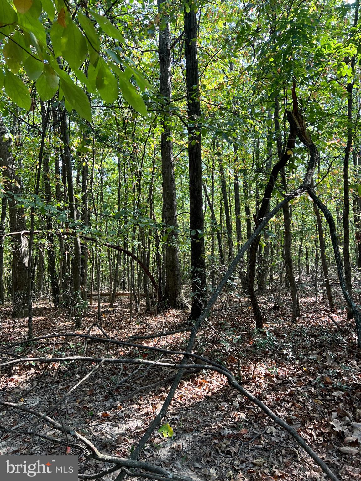 VALLEY HIGH TIMBER FARMS - Residential