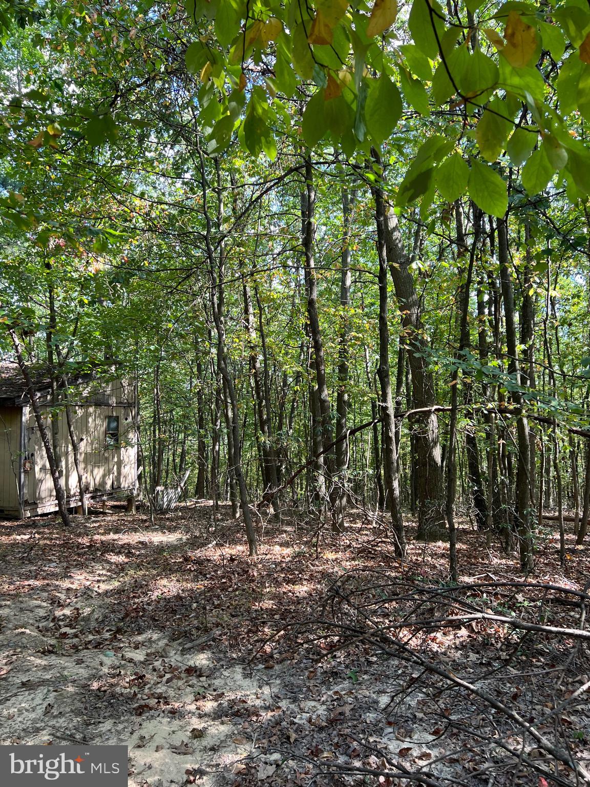 VALLEY HIGH TIMBER FARMS - Residential