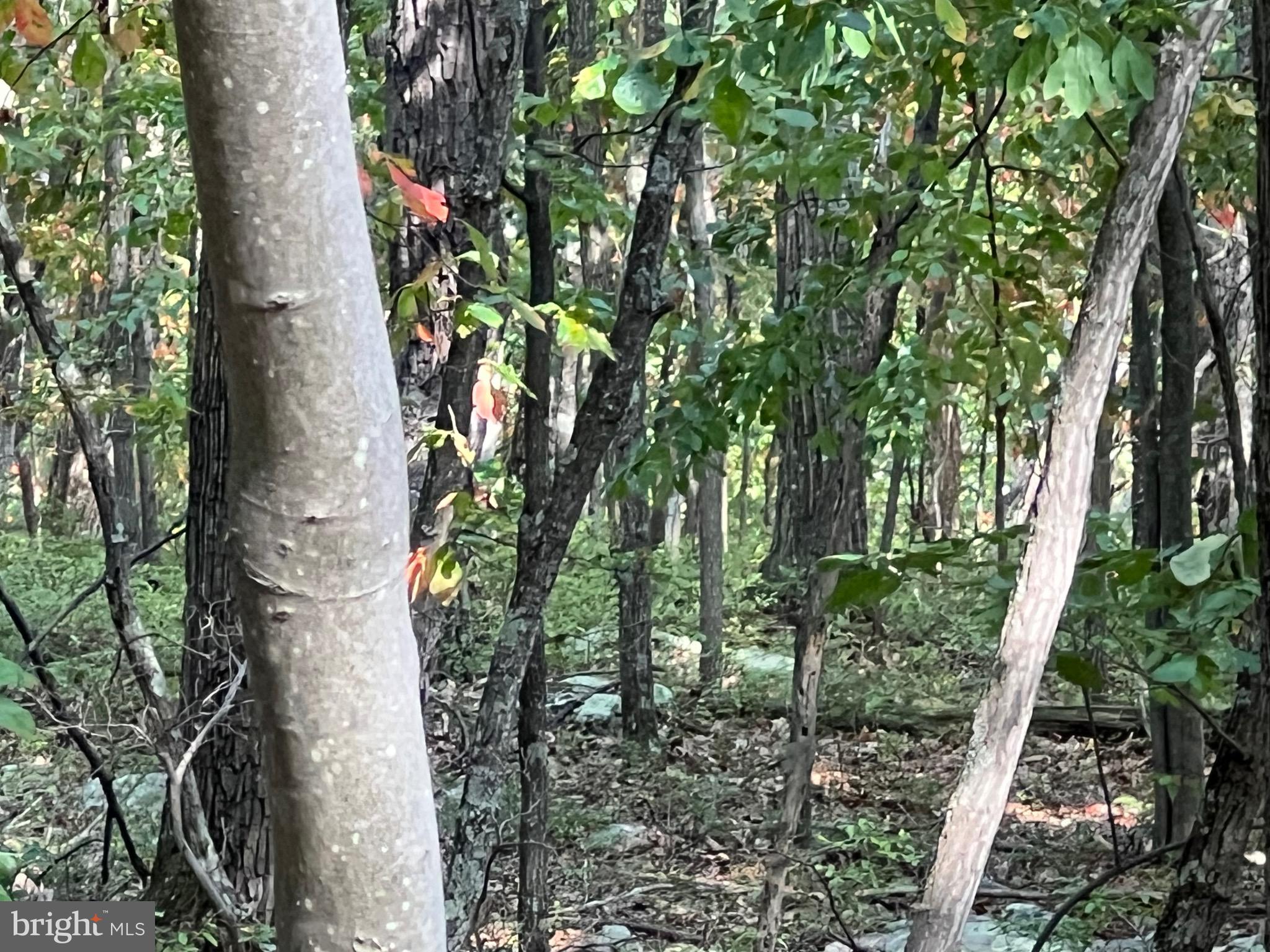 VALLEY HIGH TIMBER FARMS - Residential