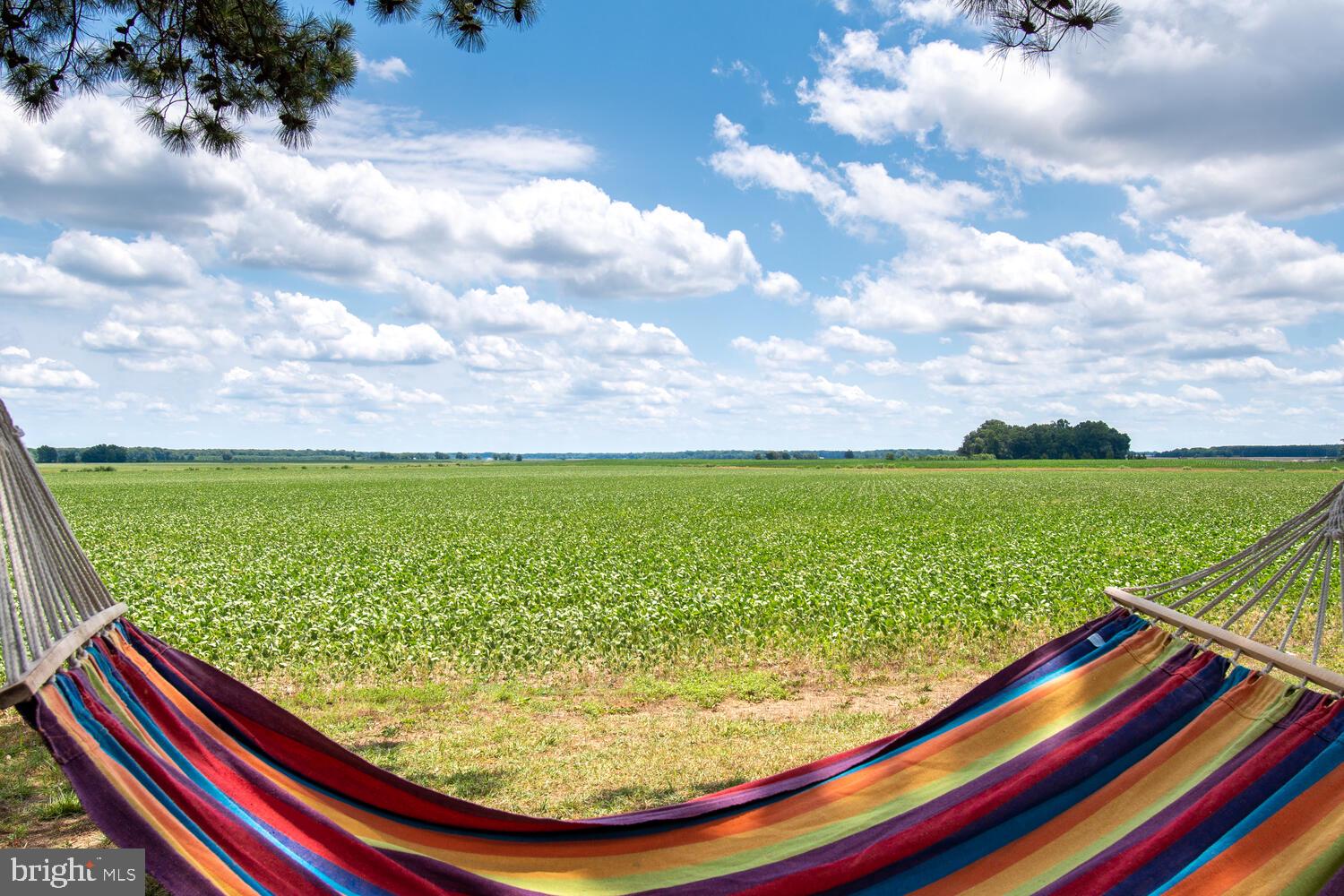 INGLESIDE - Residential