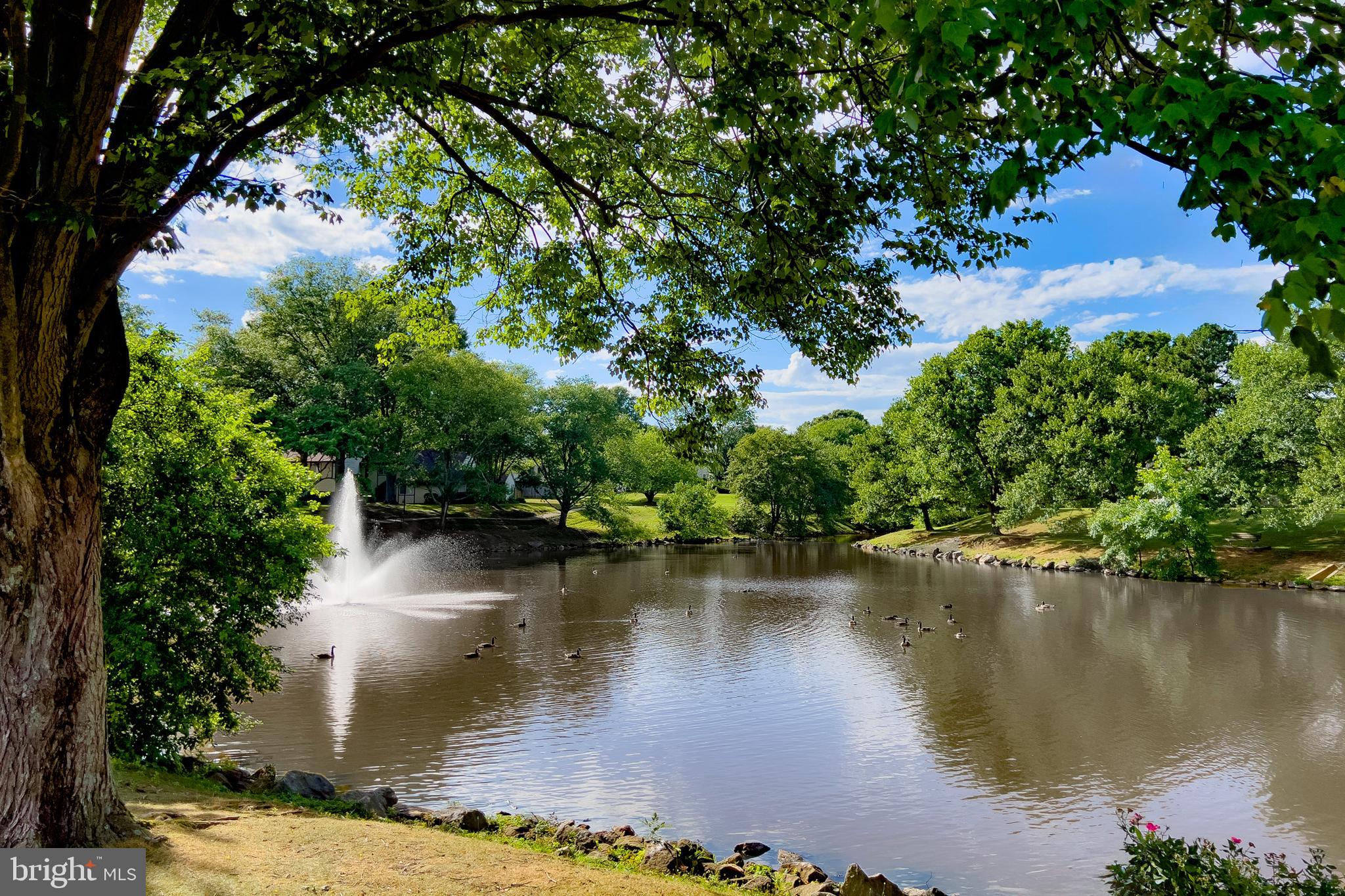 CROFTON MEADOWS - Residential