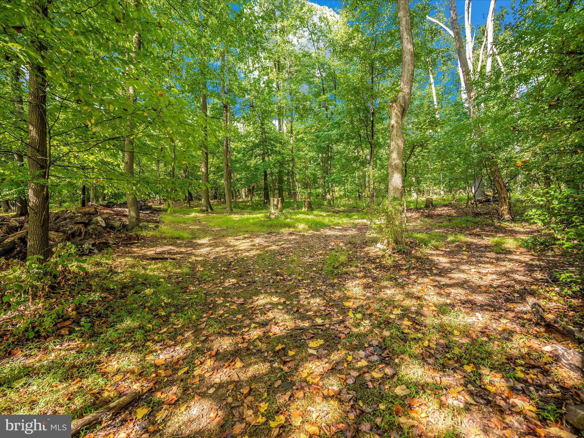 SHOOKSTOWN - Residential