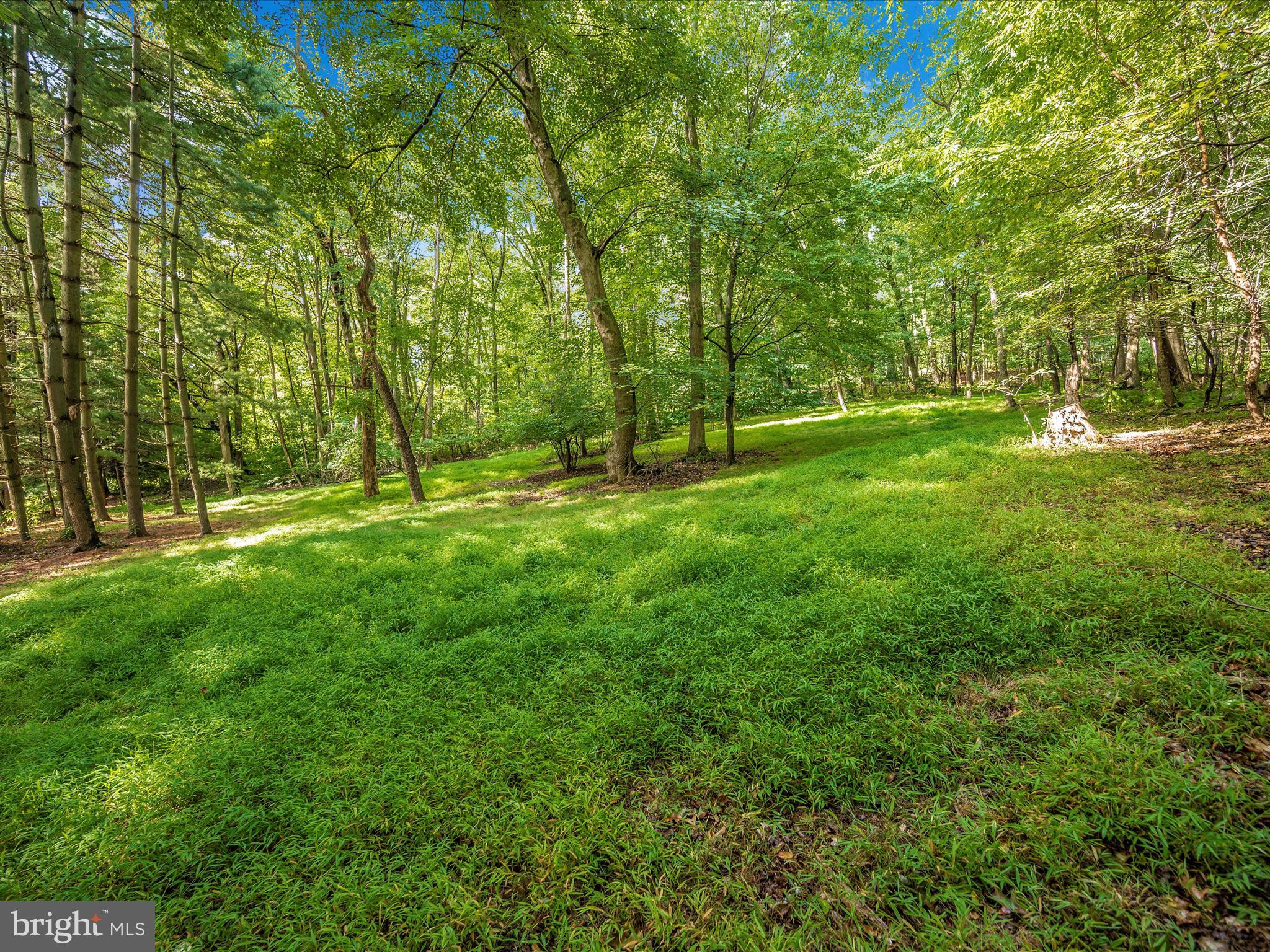 SHOOKSTOWN - Residential