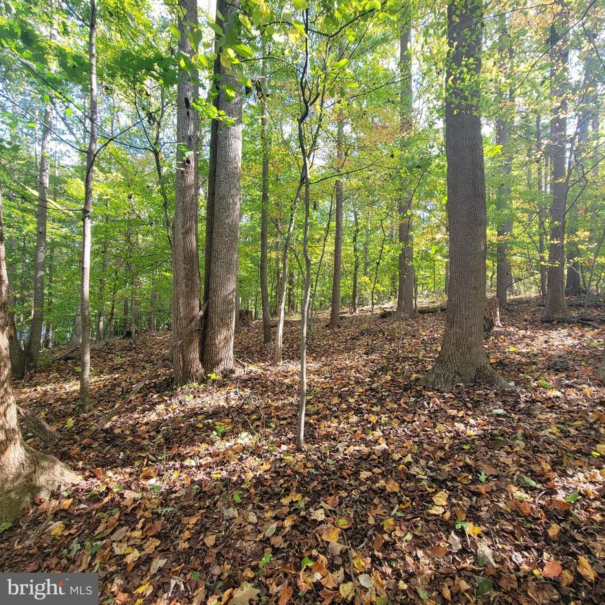 Wooded lot with easy access to Bel Air. Well required, updated perc, driveway partially installed, Common drive agreement. Please when viewing lot pull in driveway entrance shared with 2645 Hoopes Road and park at bottom of driveway to the left.