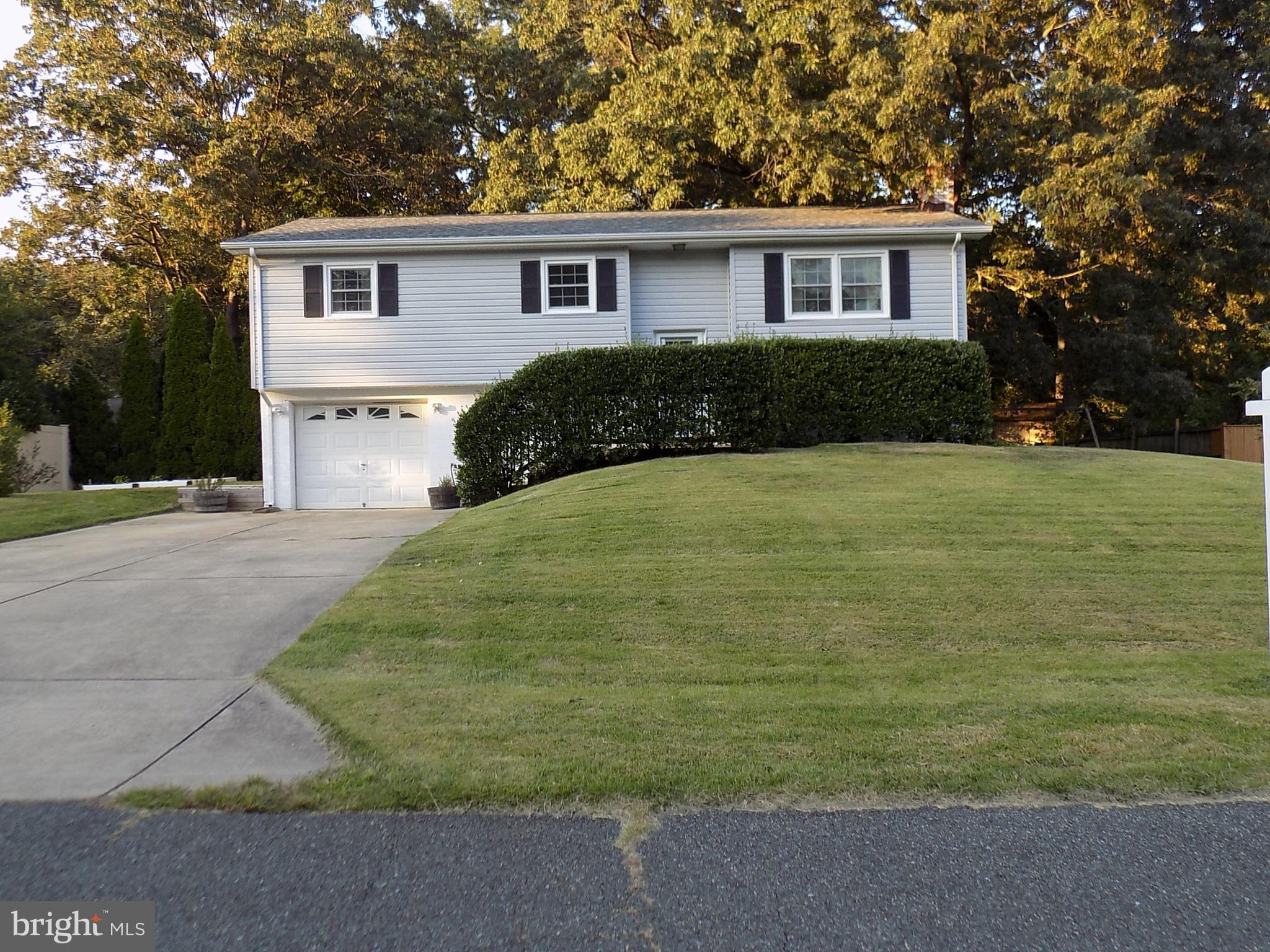 MUST SEE! NO HOA. This split level home with concrete driveway and entrance, situated on a dead end street has a new deck accessed through French Doors in the Dining Room that overlooks a very private back yard. Covered entertainment area below the Deck. Main level has 3 bedrooms, 2 full bathrooms that have been updated, Living Room, Dining Room & Kitchen with Stainless Steel appliances. Two large Pantries in hallway. Breakfast bar between Kitchen and Dining Room. Lower level has a Bedroom, Family Room w/Woodstove and a Laundry Room which has access to back yard. Garden on side of house. AC, Roof, Siding, Appliances and Deck are all new.