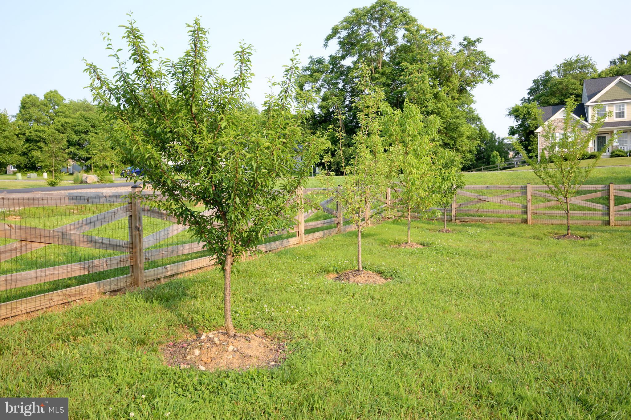 THE POINT - Residential