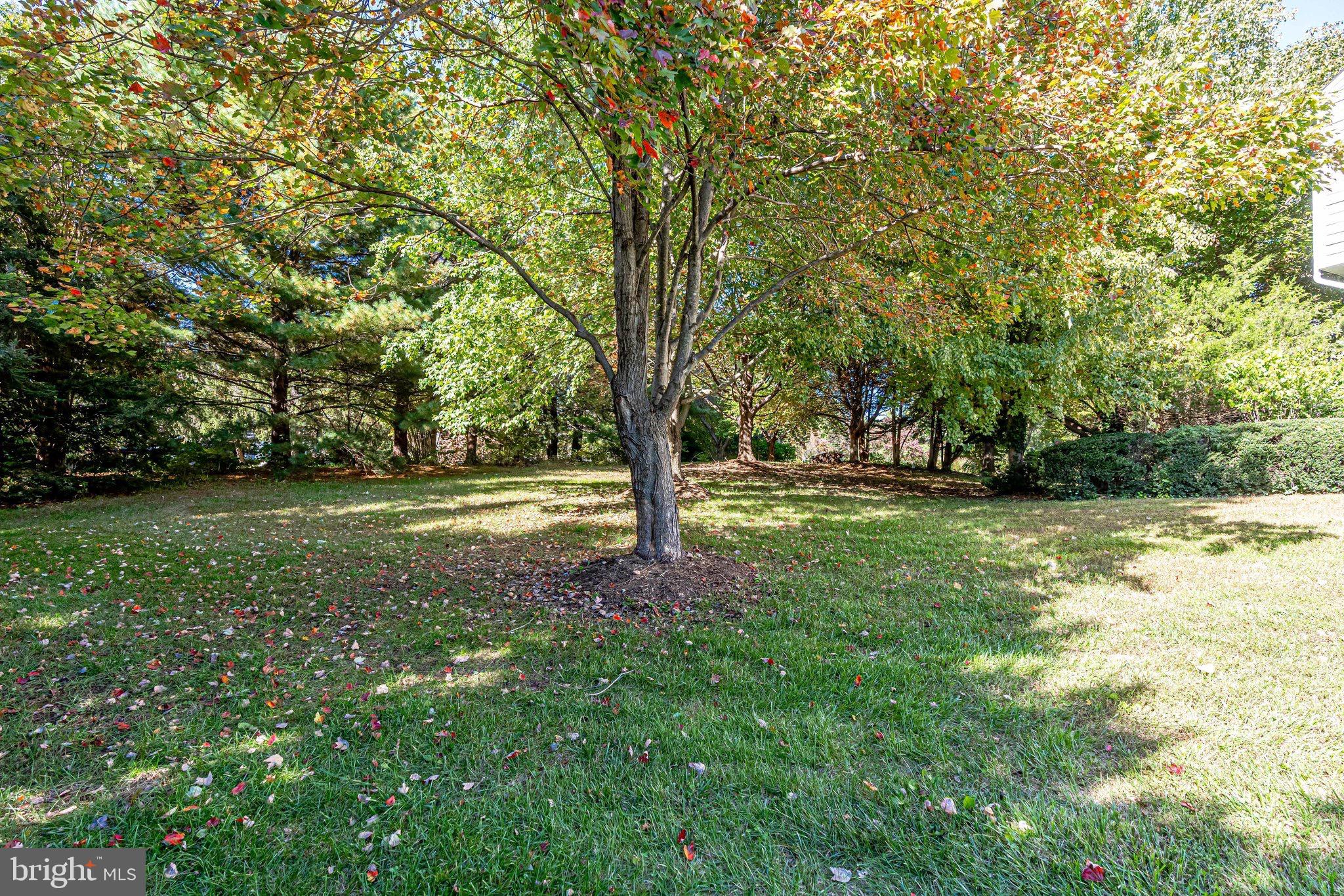 SUGAR CREEK - Residential Lease