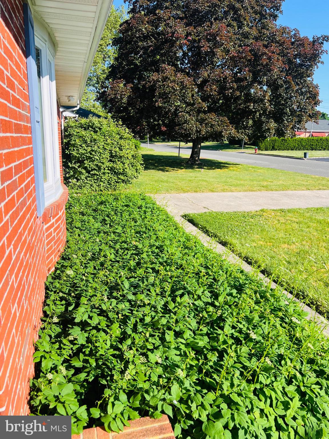 COTTAGE DALE ACRES - Residential