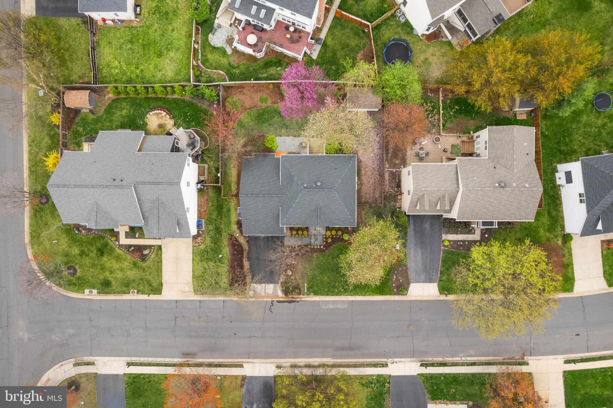 ALEXANDRAS GROVE AT BELMONT - Residential