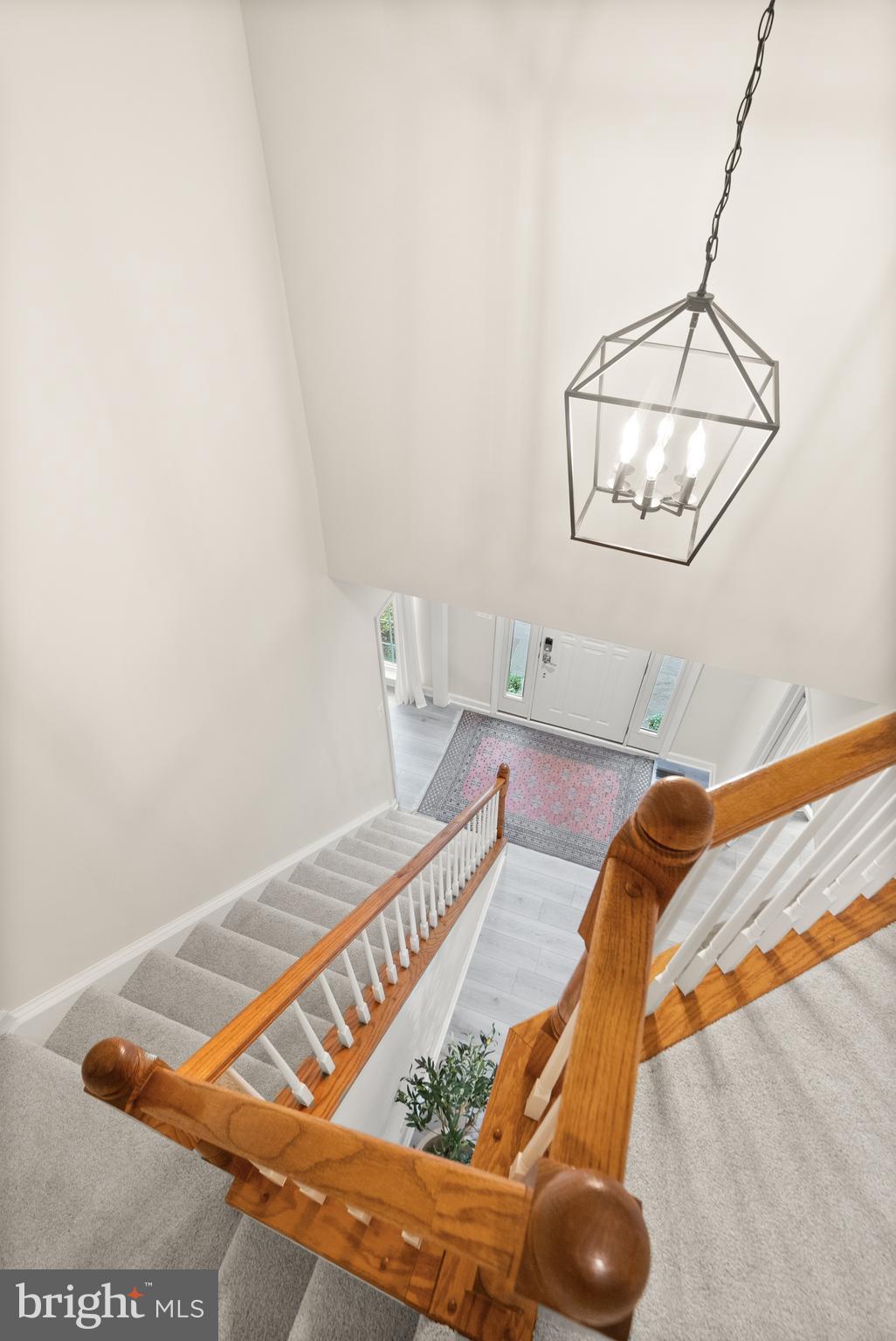 ALEXANDRAS GROVE AT BELMONT - Residential