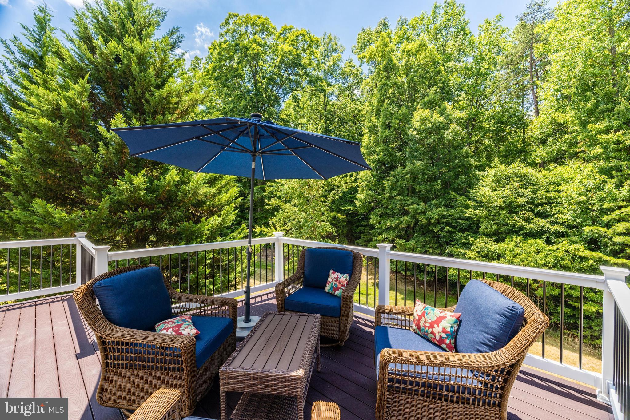 FOUR SEASONS IN HISTORIC VIRGINIA - Residential