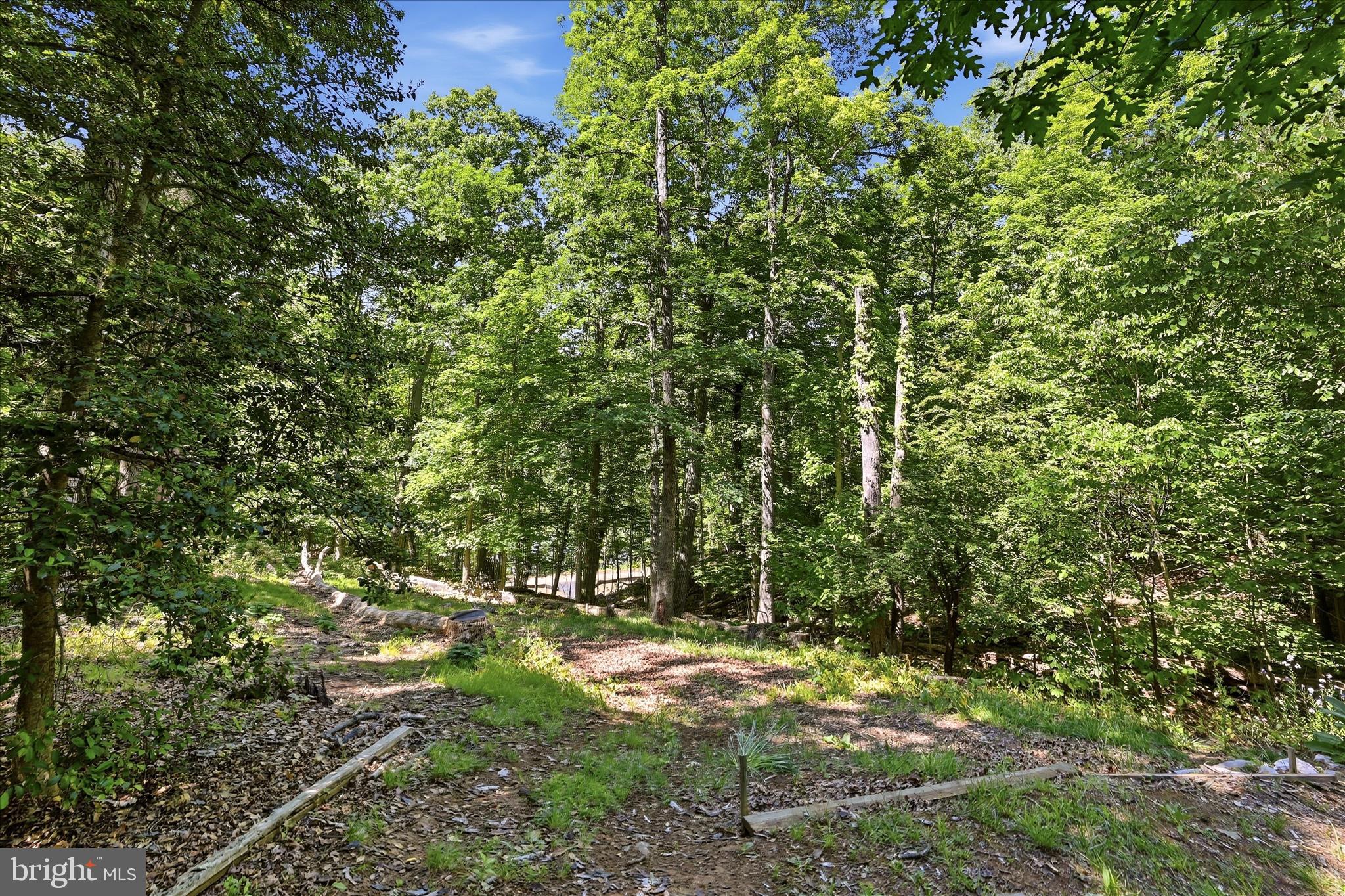 SHENANDOAH  SHORES - Residential