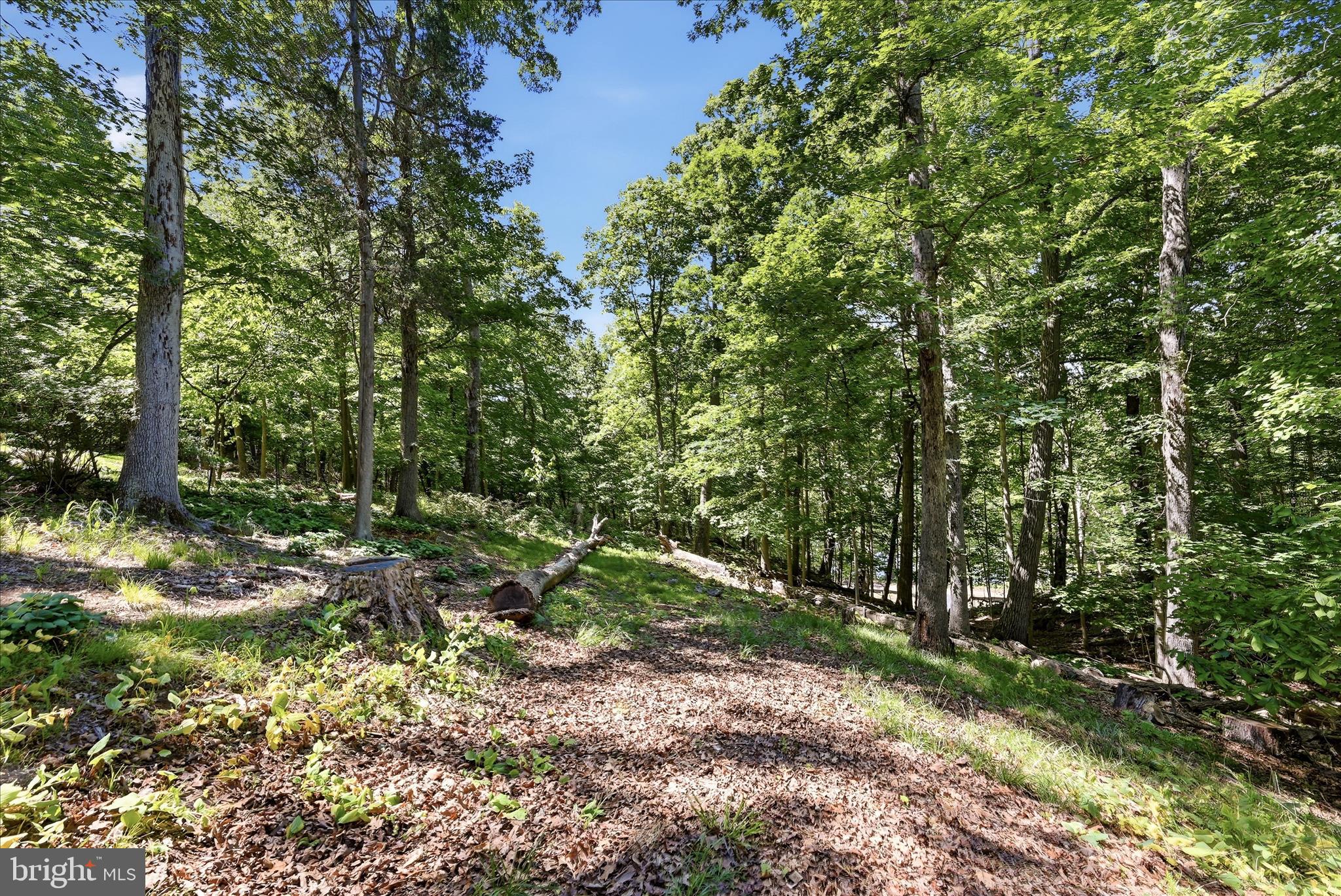 SHENANDOAH  SHORES - Residential