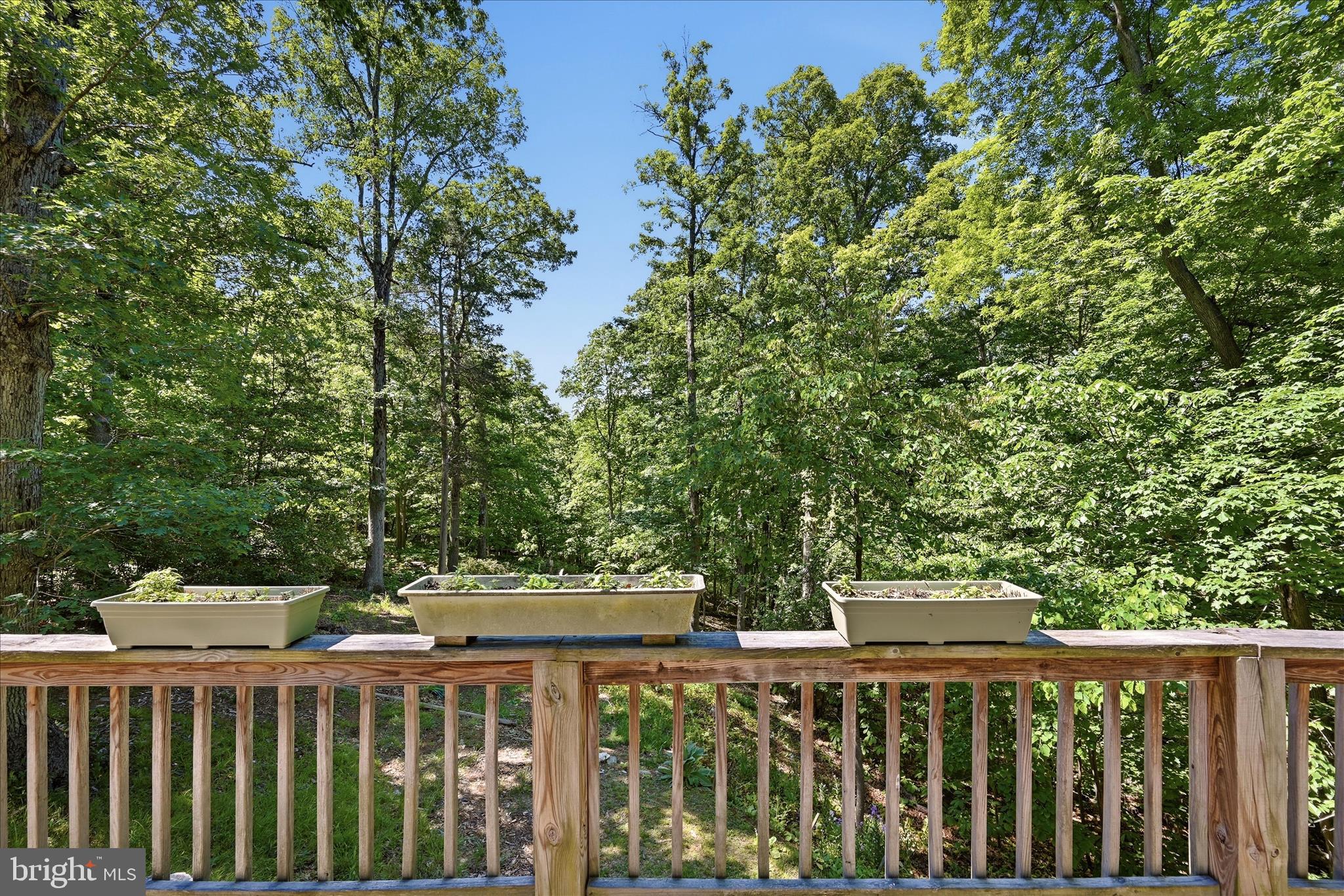 SHENANDOAH  SHORES - Residential