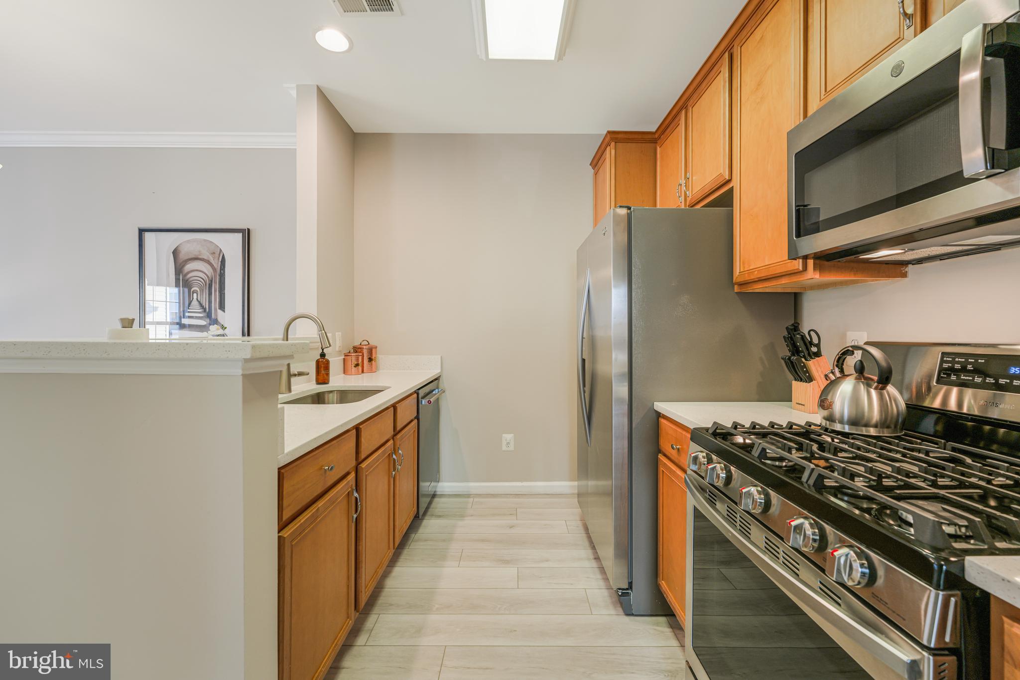 THE RIDGES @ BELMONT COUNTRY CLUB - Residential