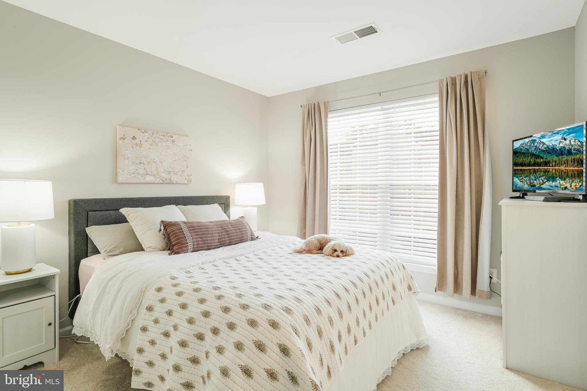 THE RIDGES @ BELMONT COUNTRY CLUB - Residential