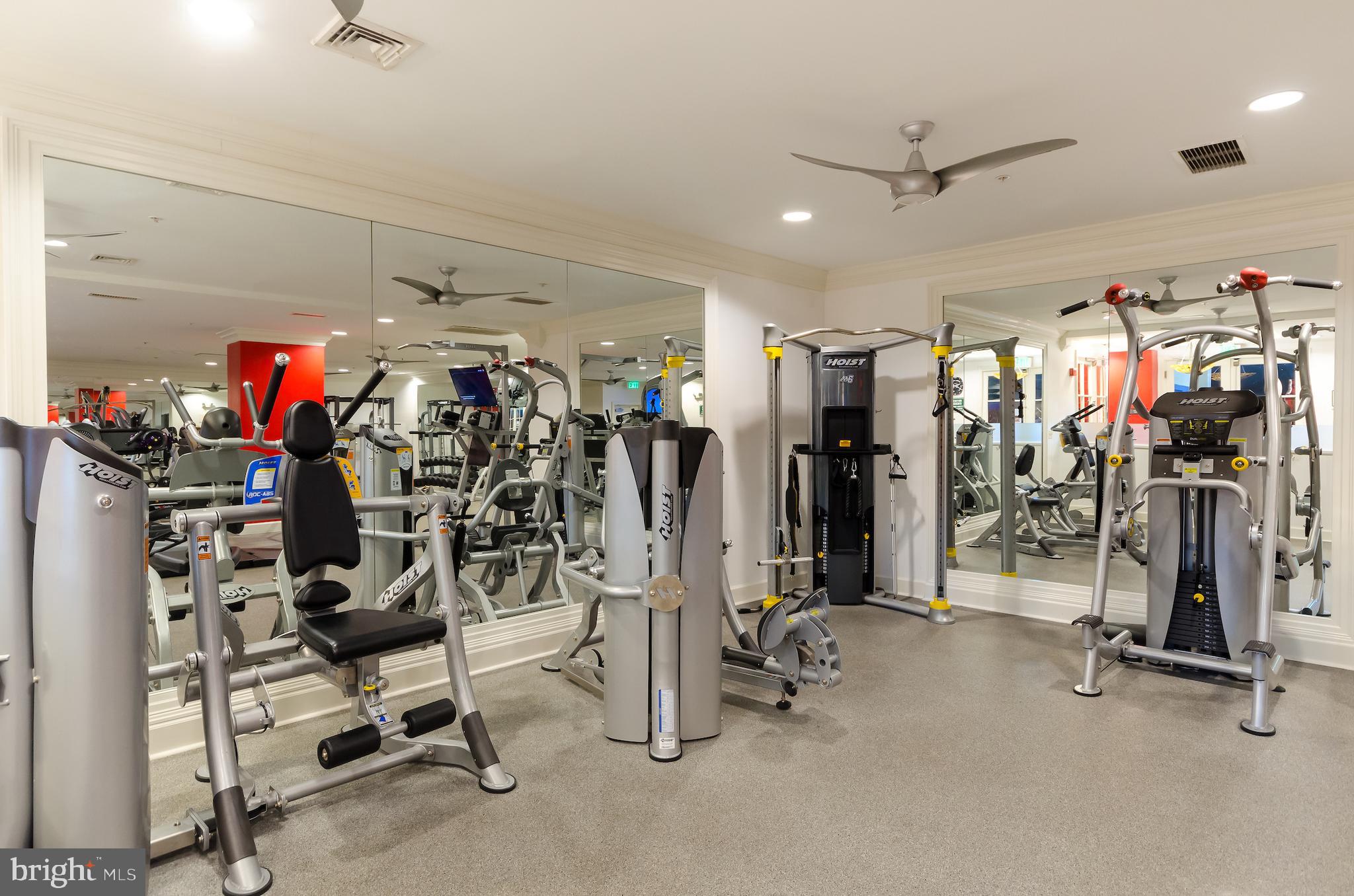 HALSTEAD AT THE METRO - Residential