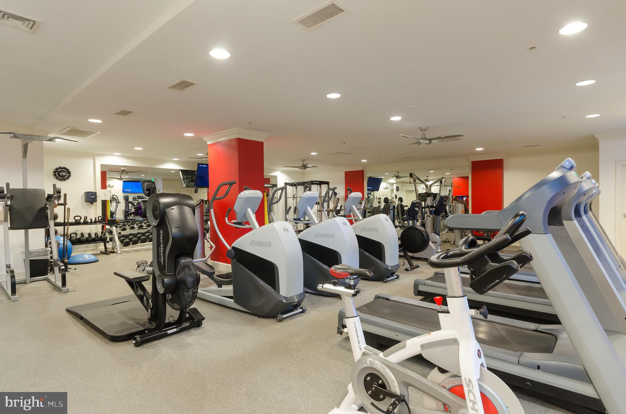 HALSTEAD AT THE METRO - Residential