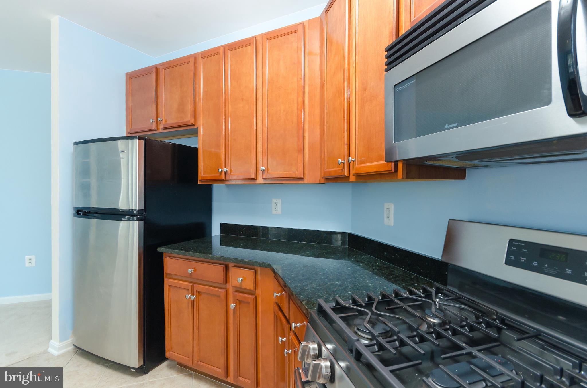 HALSTEAD AT THE METRO - Residential