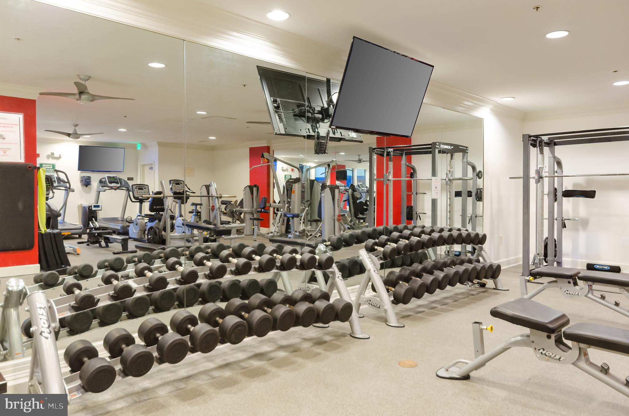 HALSTEAD AT THE METRO - Residential