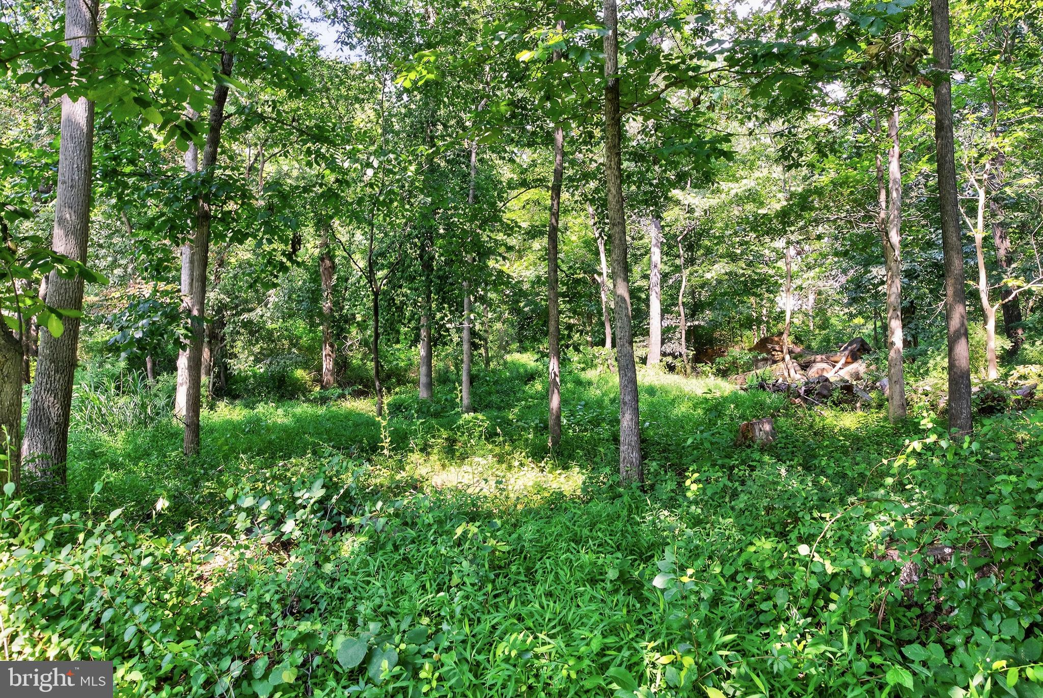 GOLDEN SPRINGS - Residential