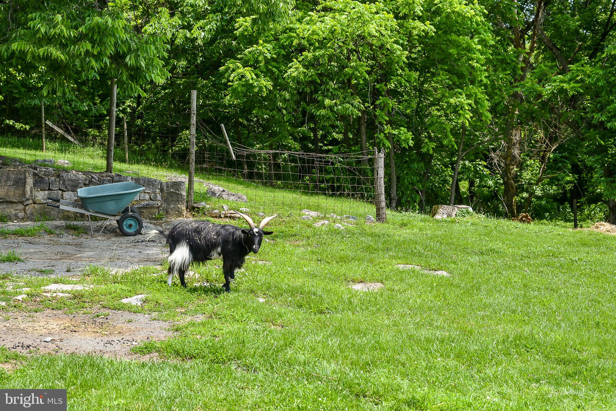 POTOMAC RIVER FARMS - Residential