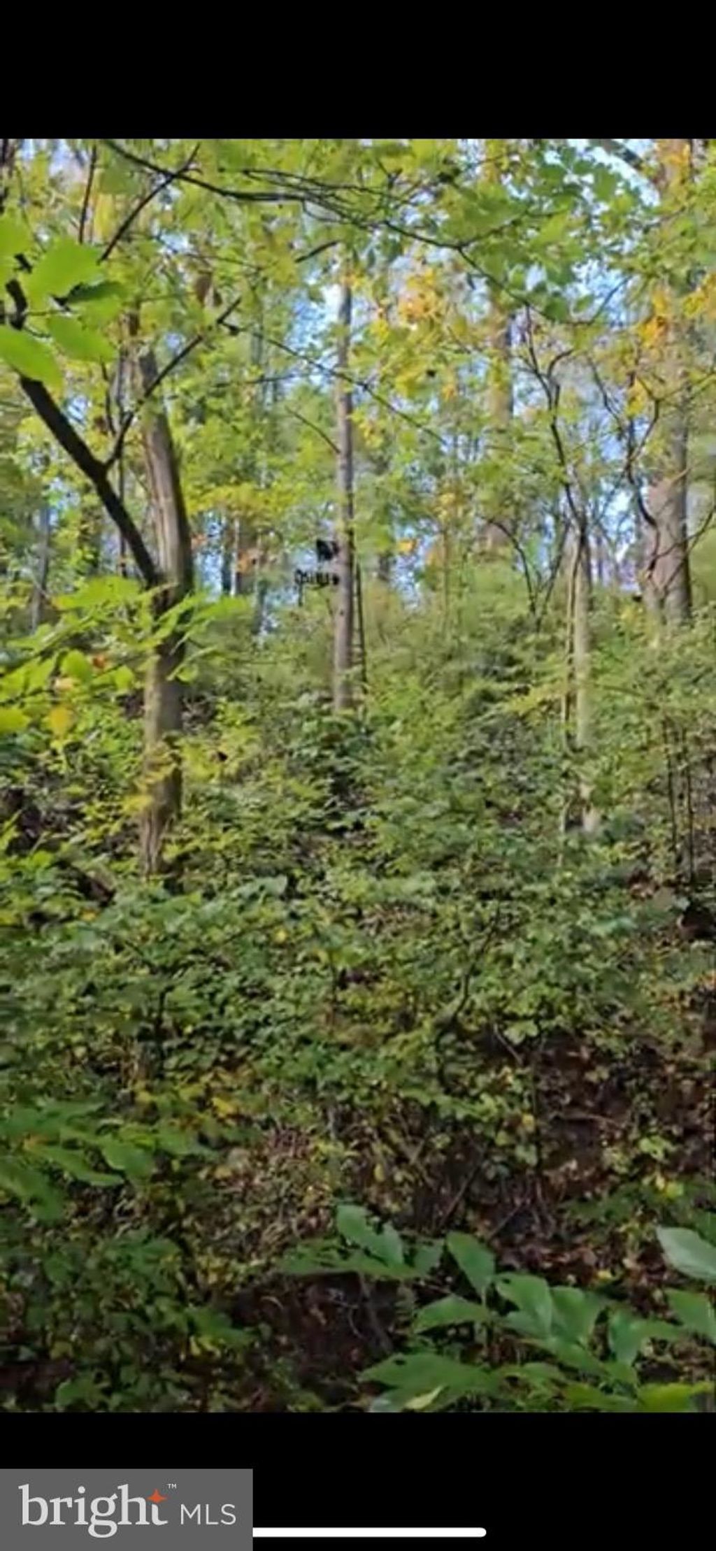 Photo of 108 River Road, Pequea, PA 17565 (MLS # PALA2053850)