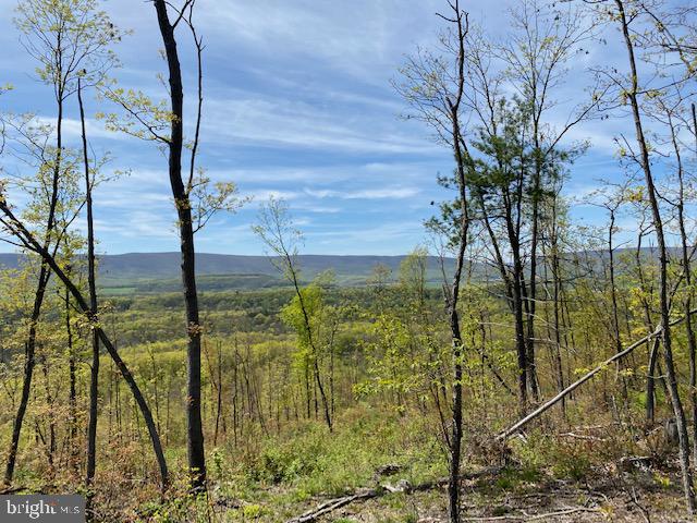 WEST PROVIDENCE TOWNSHIP - Residential