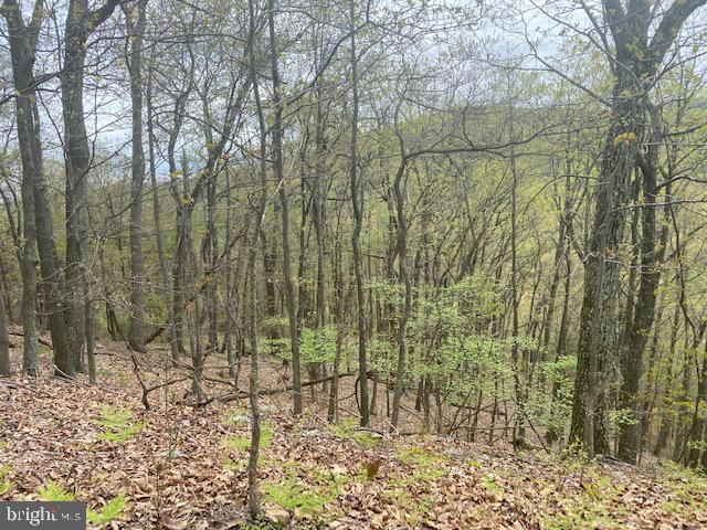 WEST PROVIDENCE TOWNSHIP - Residential