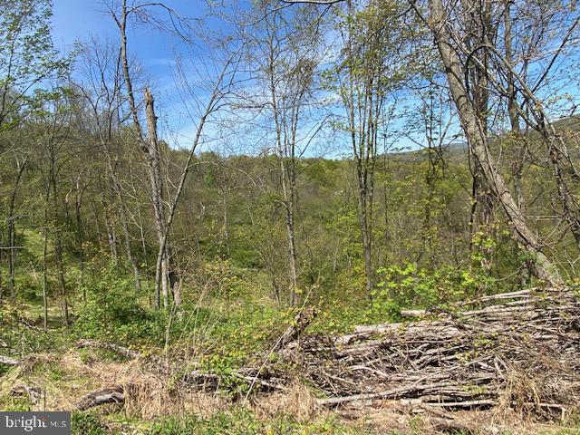WEST PROVIDENCE TOWNSHIP - Residential