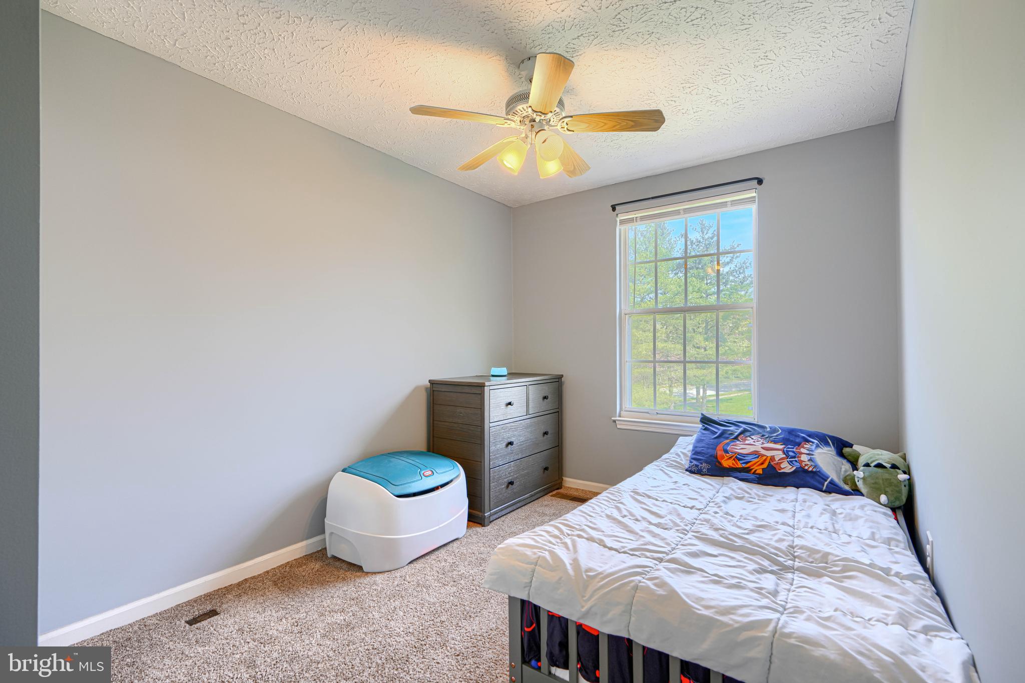 VILLAGE OF THOMAS RUN - Residential