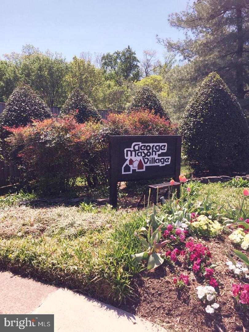 1519 S GEORGE MASON DRIVE S 21