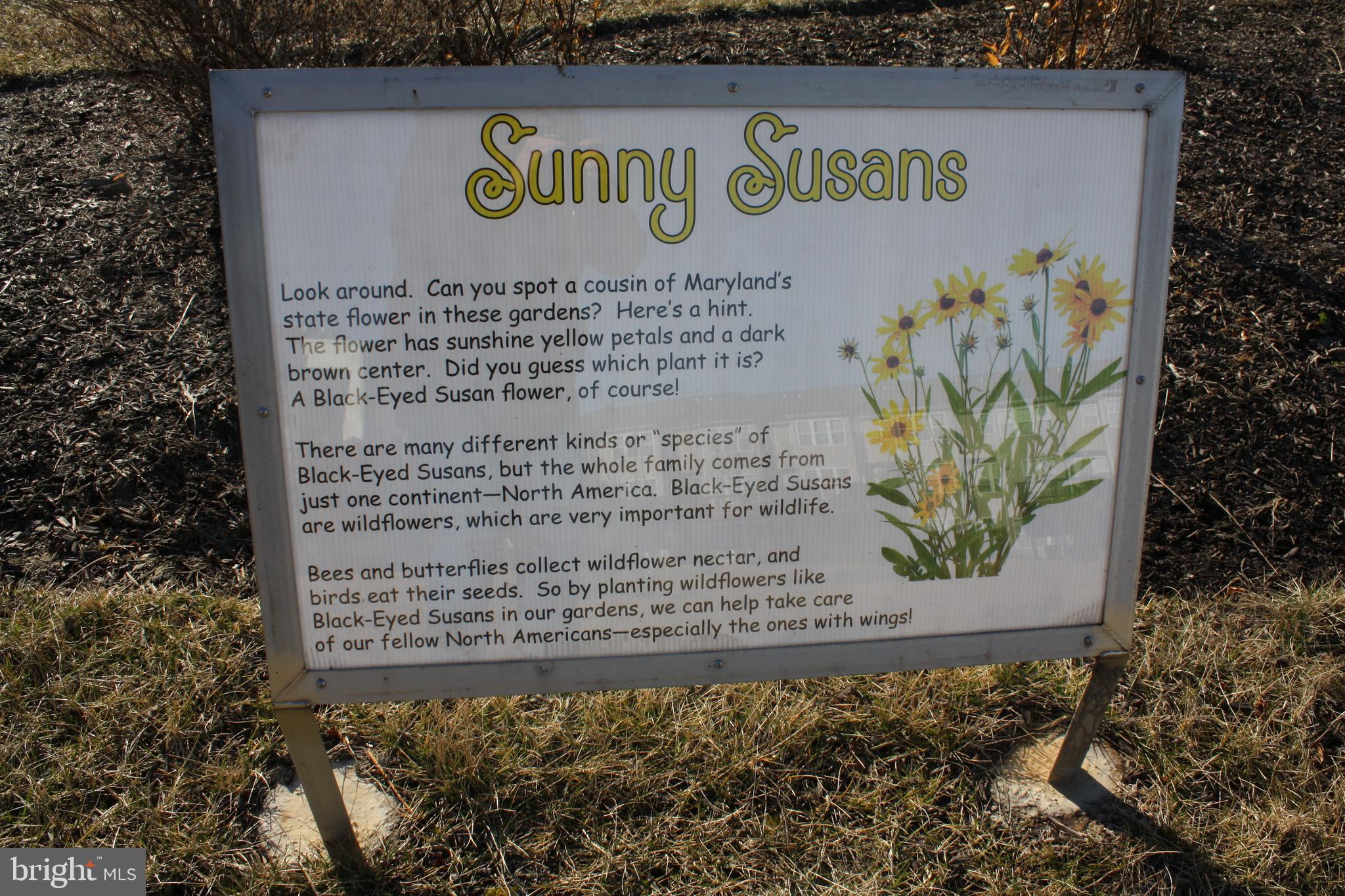 MIRAMAR LANDING - Residential