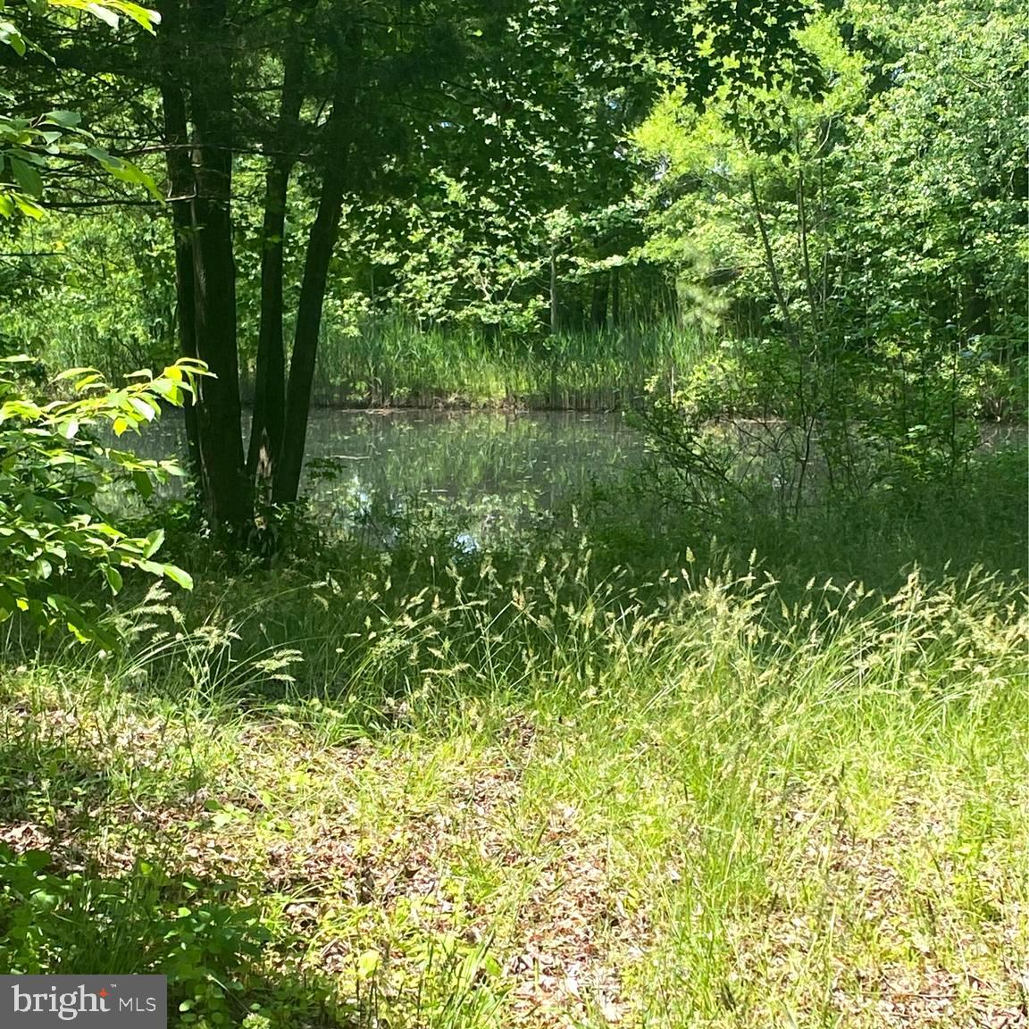 FAIR HAVEN FARMS - Residential