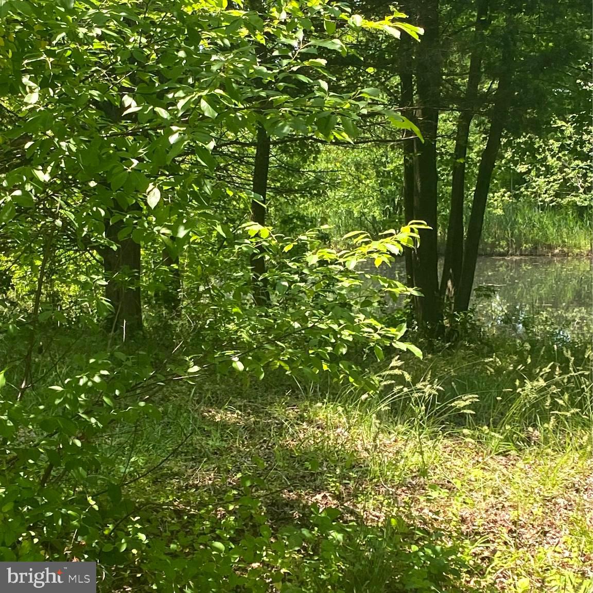 FAIR HAVEN FARMS - Residential