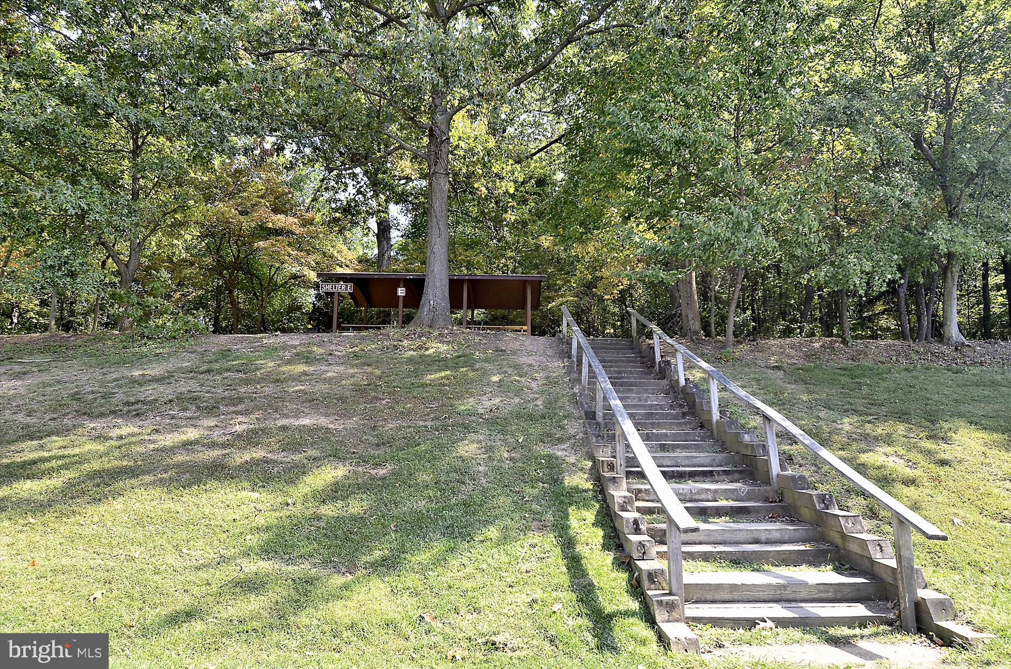 CABIN BRANCH - Residential