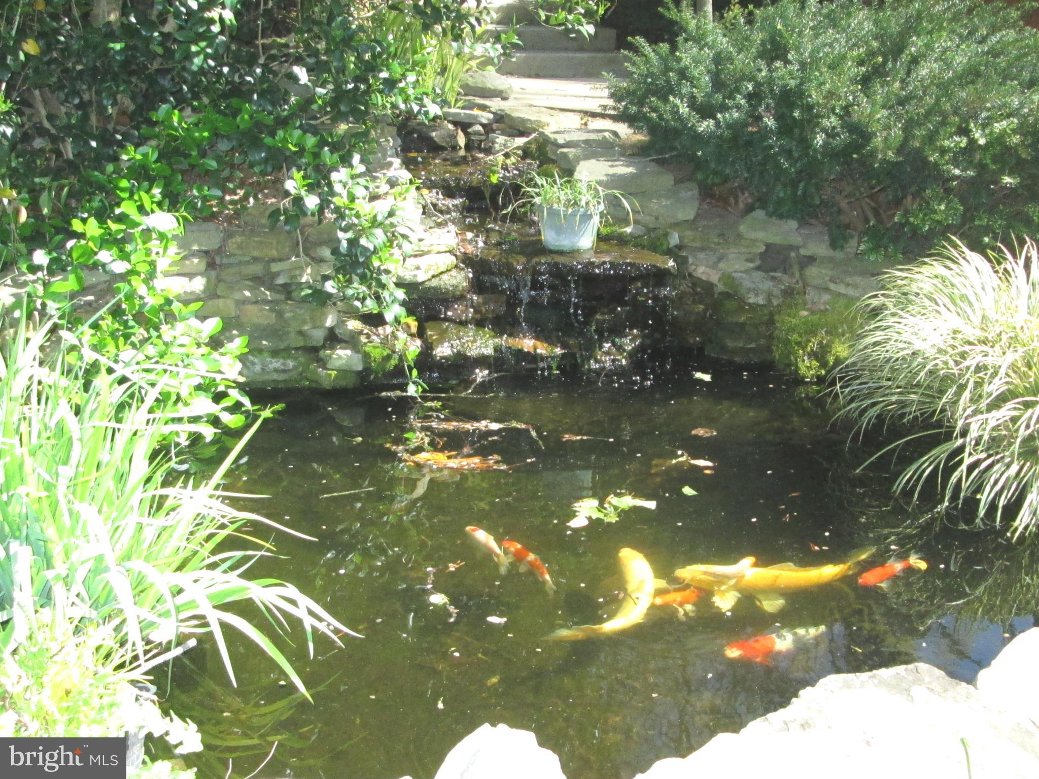 BLUE WATER - Residential