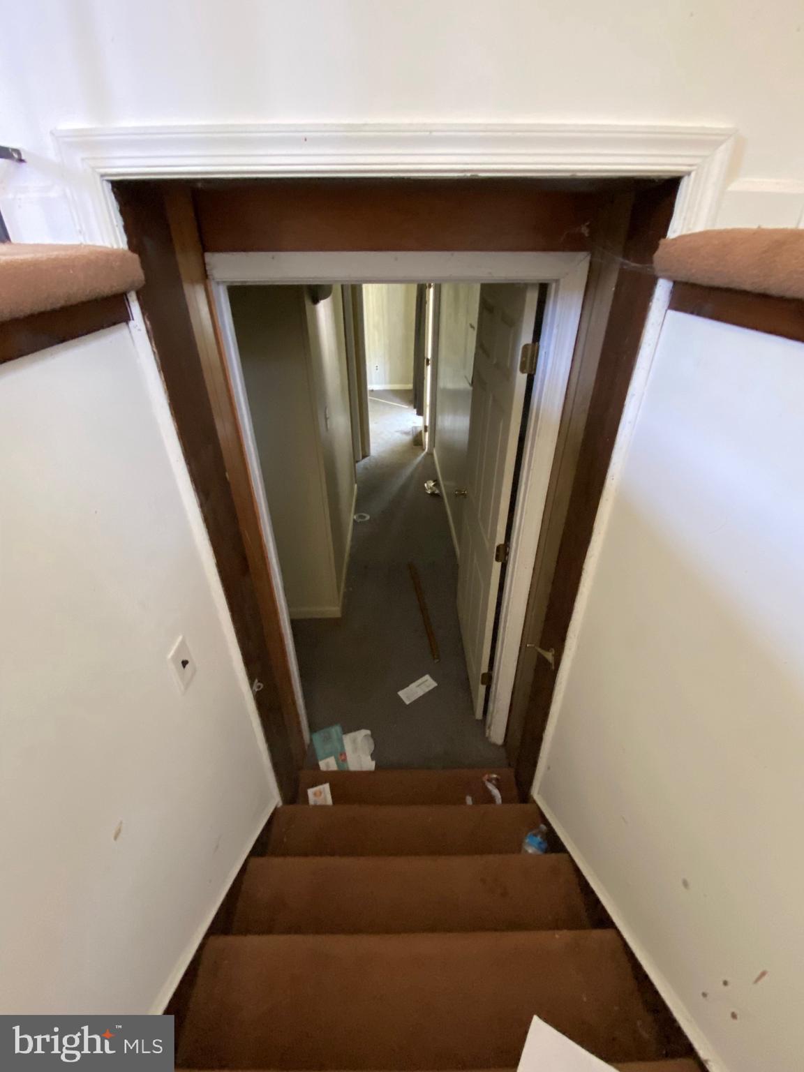 BELVEDERE BEACH - Residential