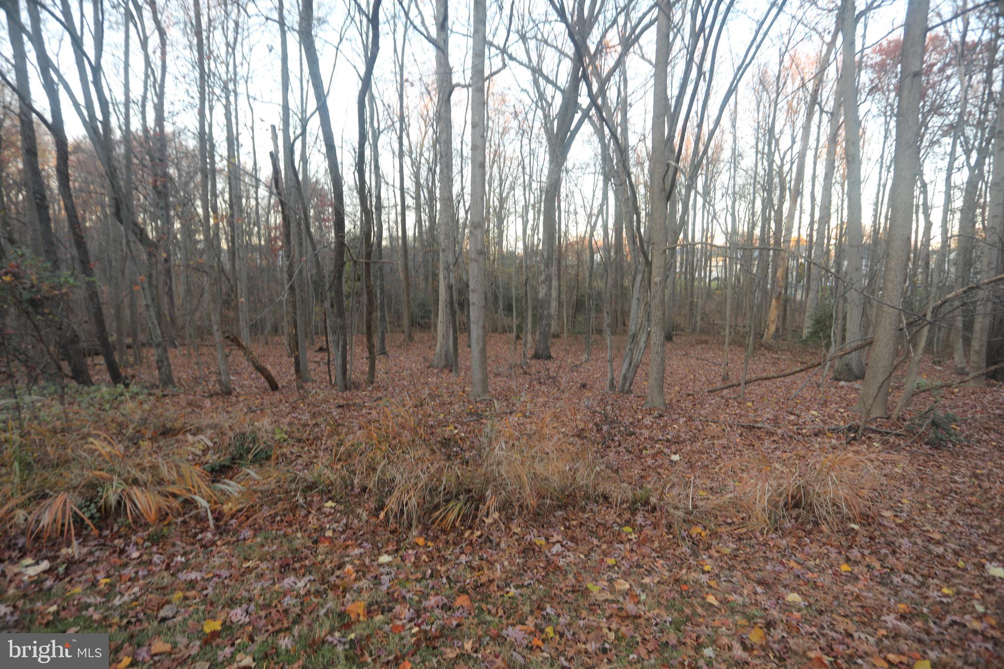 GREENBRIAR - Residential Lease