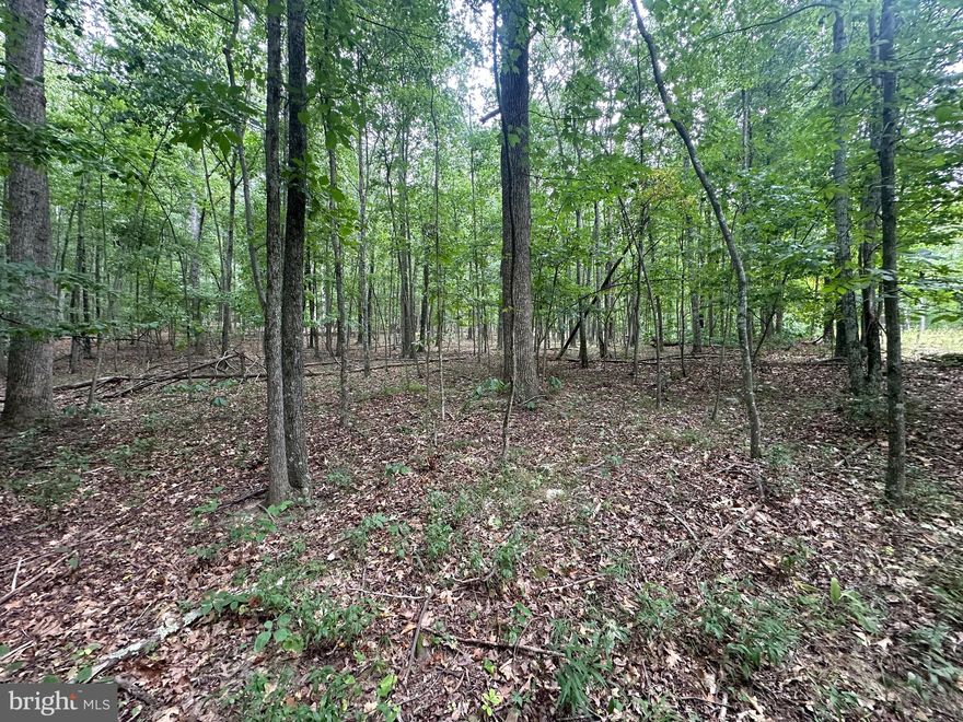 Come check out this wonderful lot in Great Cacapon with community river access! This 2 acre lot would be perfect for your weekend retreat or forever home! With light restrictions you can bring your campers and enjoy this slice of WV and the community river access or the couple close public accesses Great Cacapon has to offer. This lot has also already had a successful perc test completed. Come and take a look today!