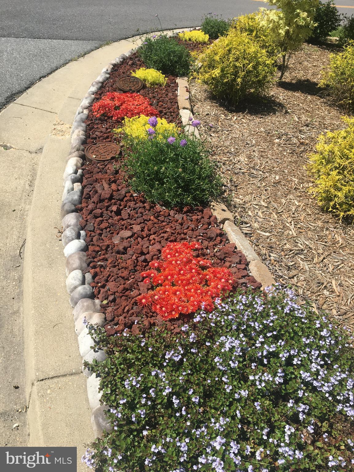 PRINCE FREDERICK CROSSING - Residential