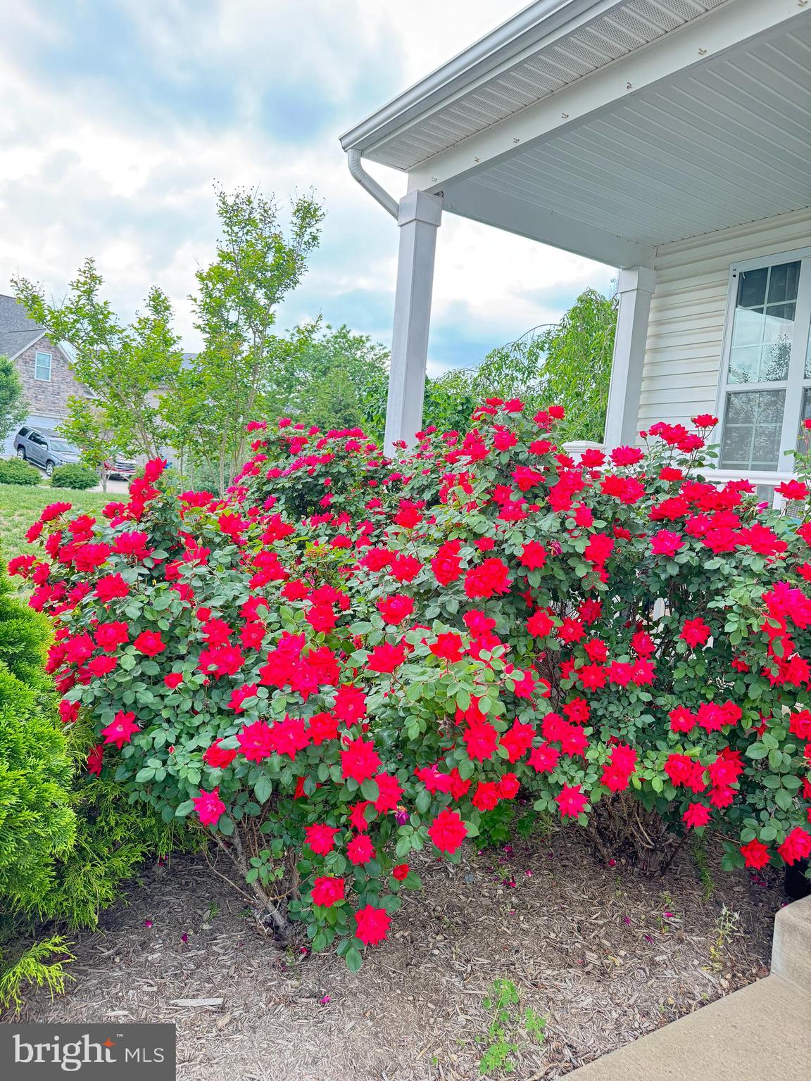 PRINCE FREDERICK CROSSING - Residential