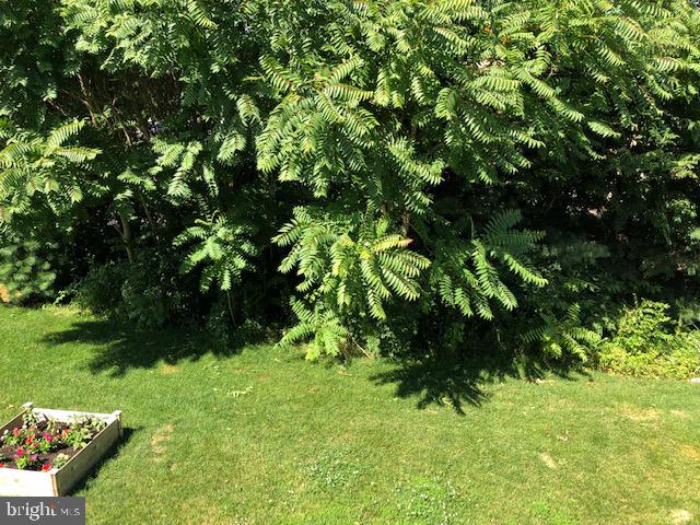 LINTON - Residential Lease